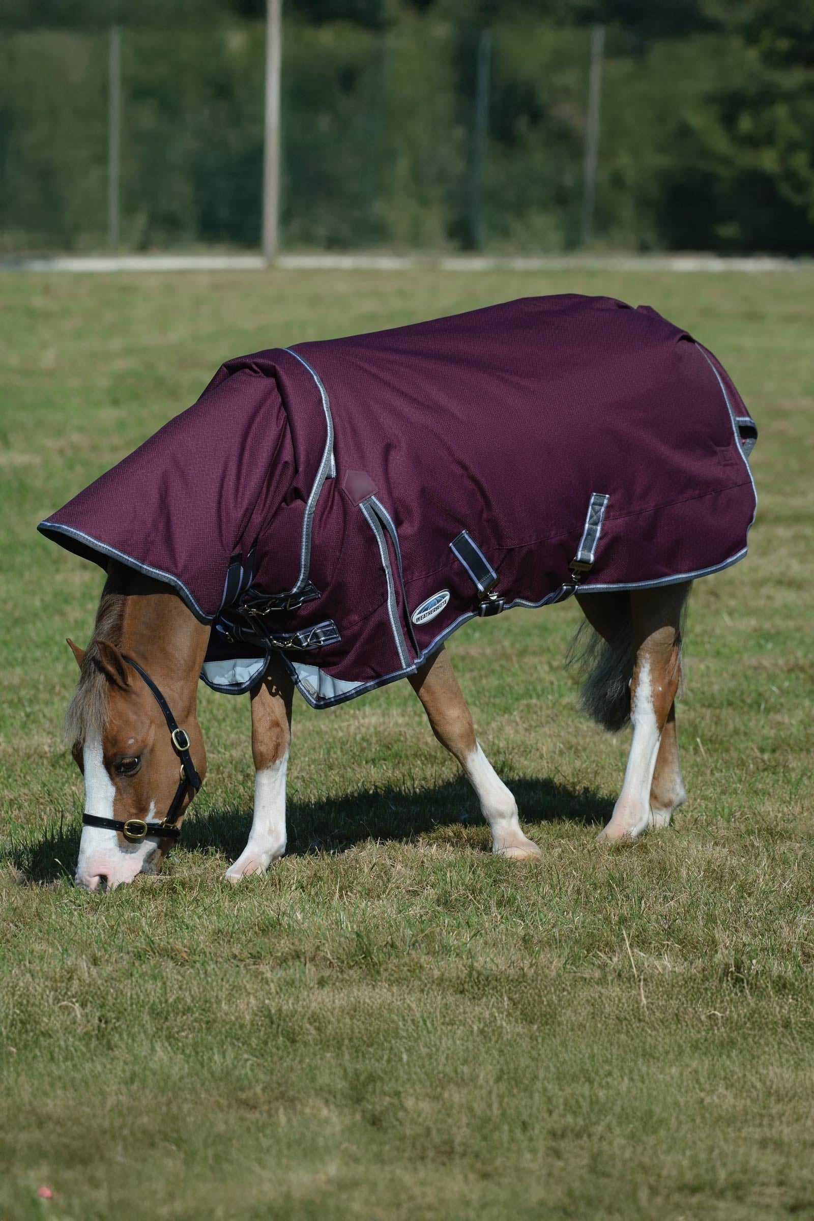 Weatherbeeta Comfitec Plus Dynamic II Turnout Rug With Detachable Neck, 220g Horse Rugs