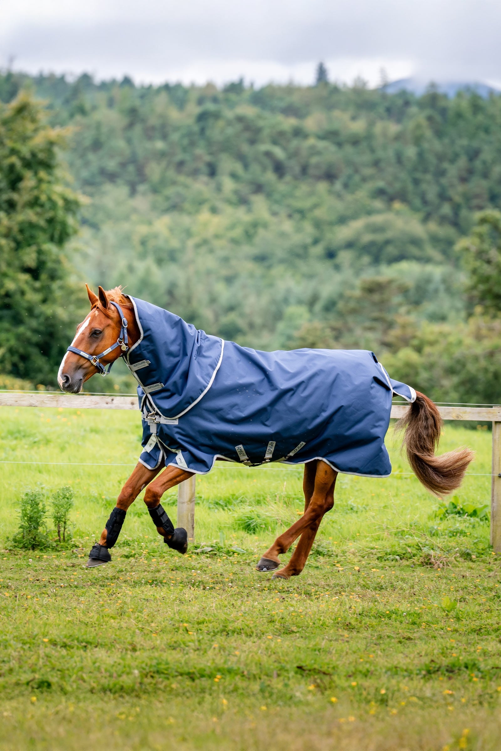 Horseware Amigo 1200D Plus Outdoordecke, 50 g Pferdedecken