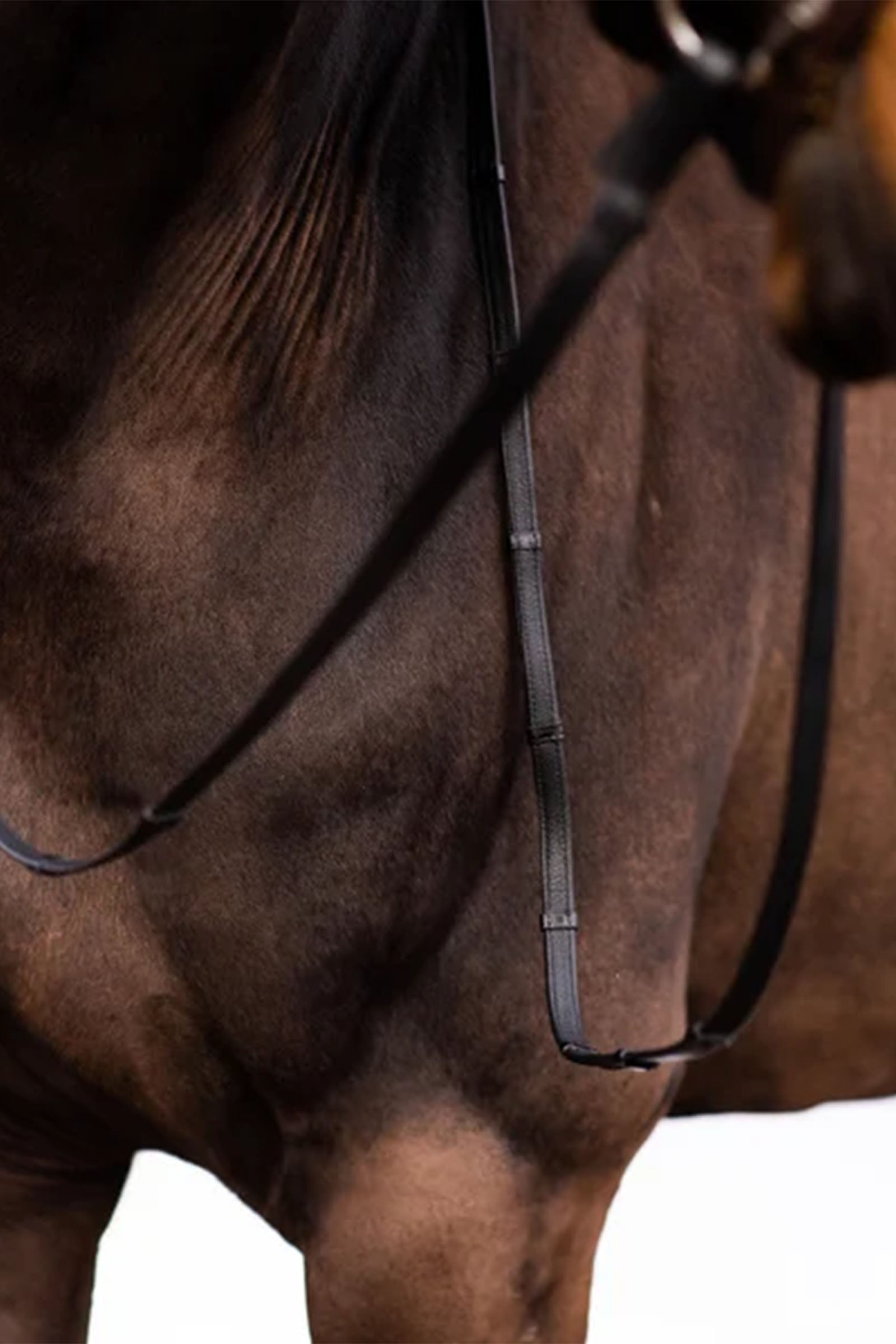 PS of Sweden Reins Softy Bridles & Reins