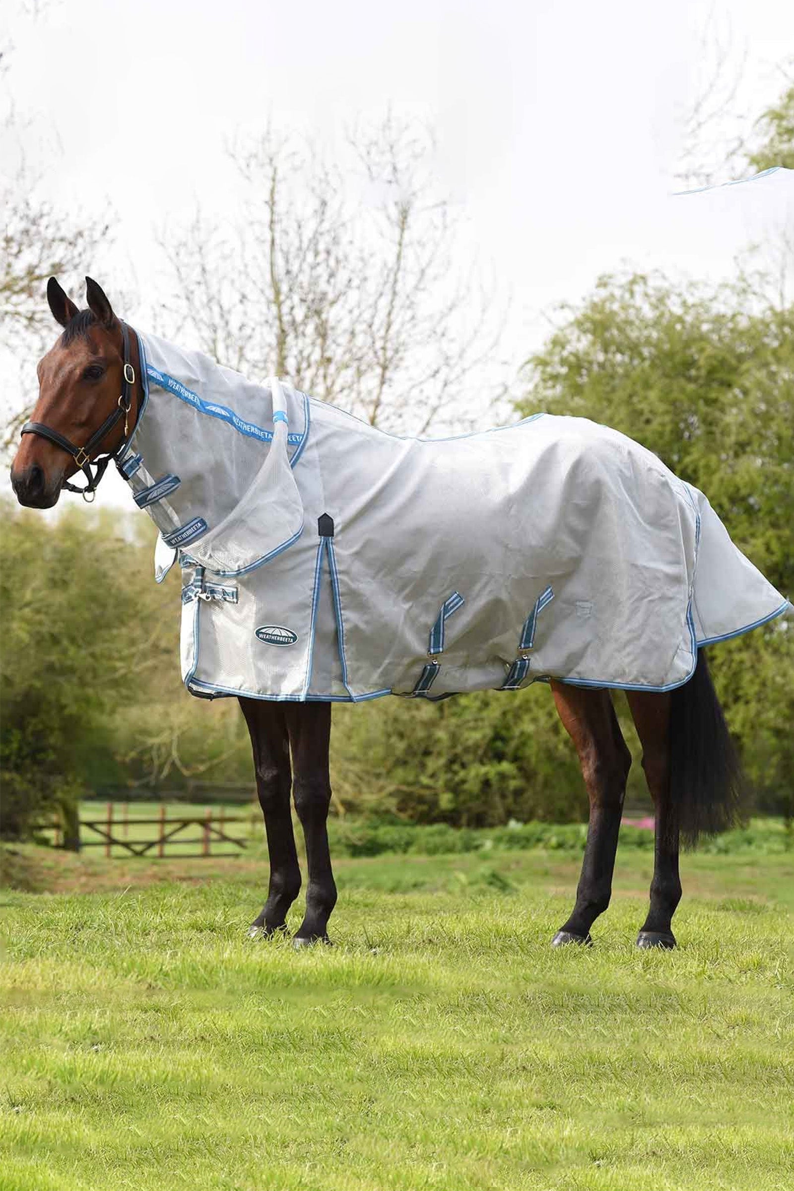 Weatherbeeta Comfitec Hexi Shield Combo Fliegendecke Pferdedecken
