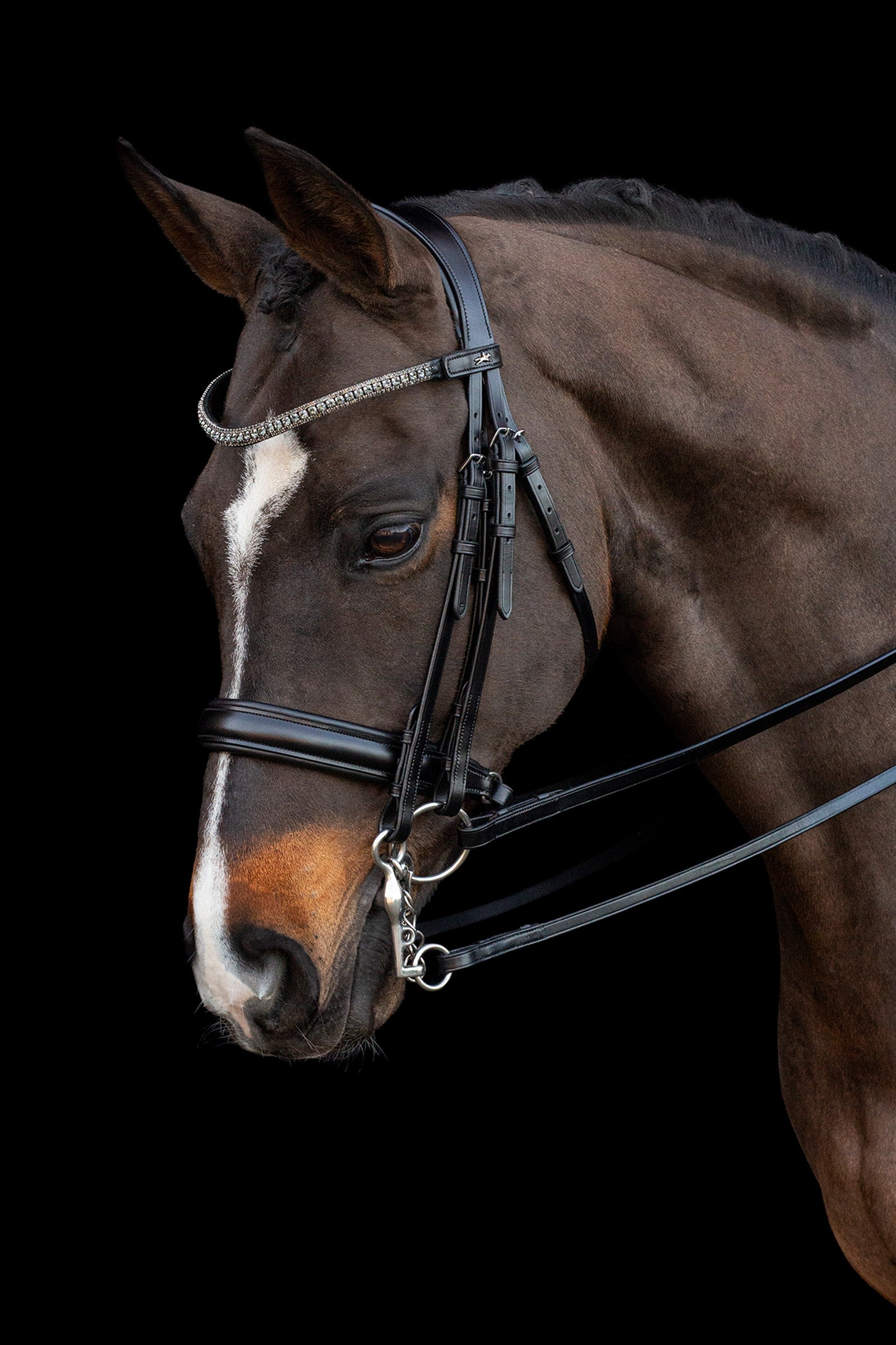 Schockemöhle Sports Brindisi Double Bridle Bridles & Reins