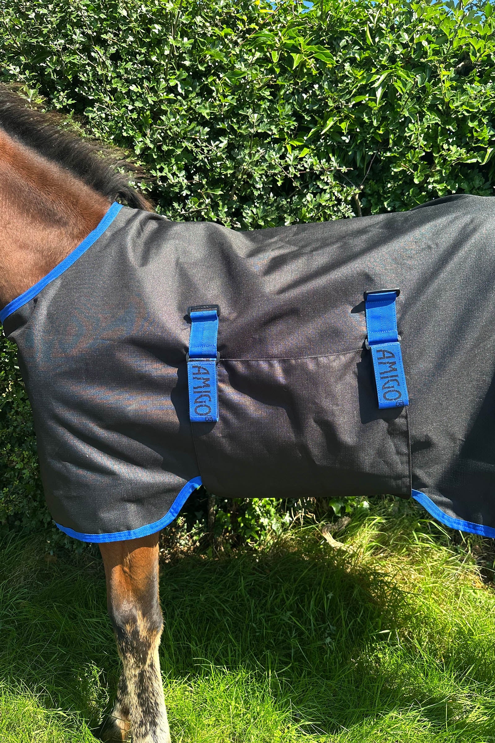 Horseware Amigo Ripstop 900D Foal Turnout 200g Horse Rugs