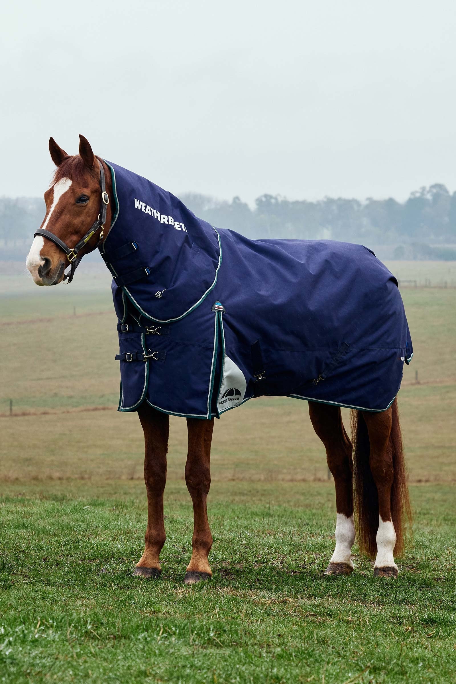 Weatherbeeta ComFiTecPlus Dynamic Turnout Detach-A-Neck 220G Horse Rugs