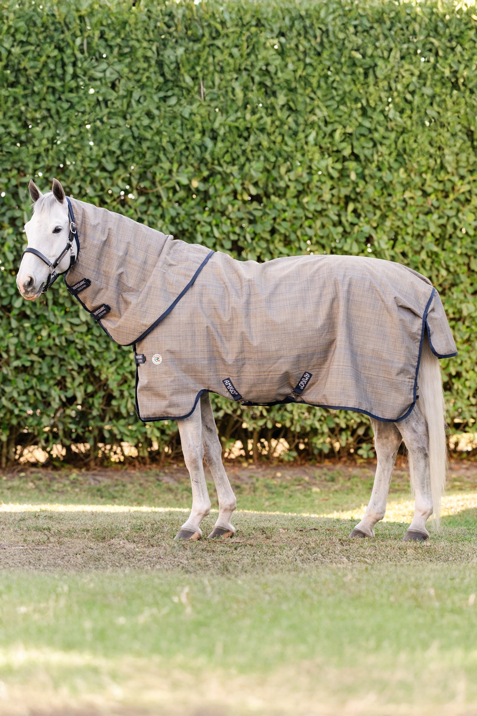 Horseware Amigo Hero 900 Revive Plus Weidedecke inkl. abnehmbarem Halsteil, 200 g Pferdedecken