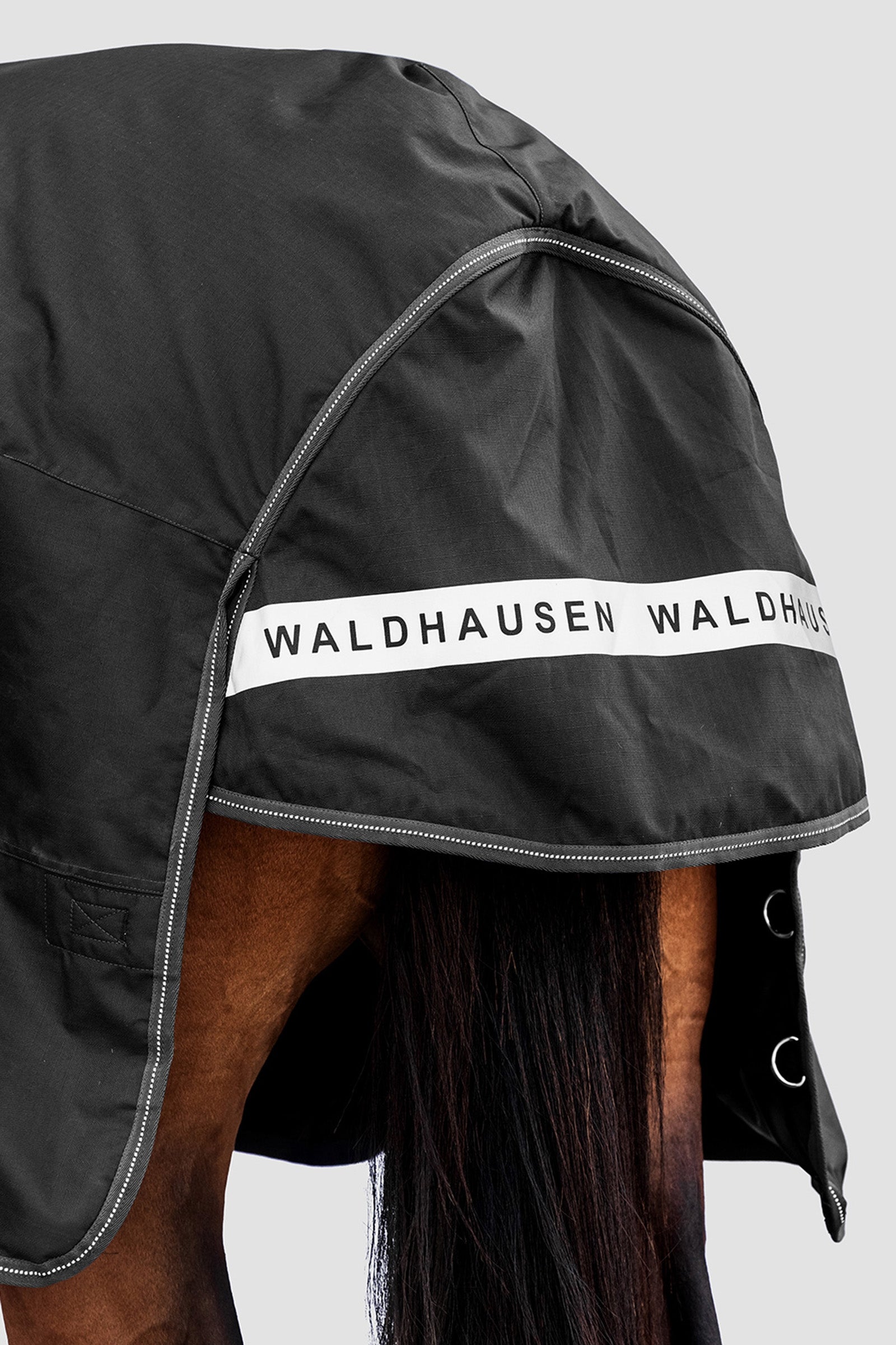 Waldhausen Outdoor Rug Arctic 300 g Horse Rugs