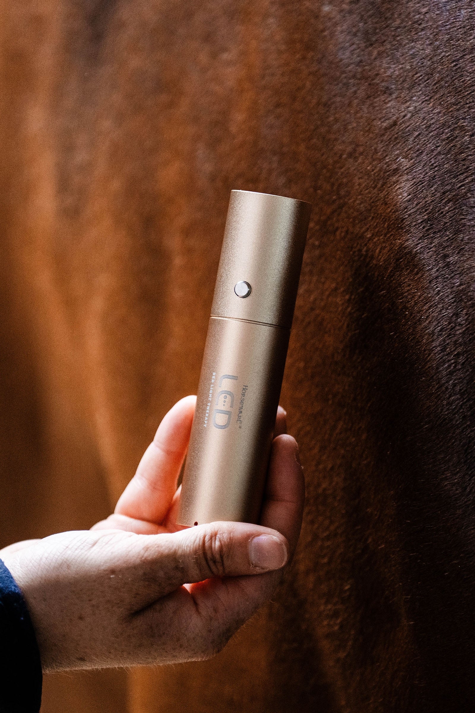 Horseware LED-Rotlicht-Therapie Stab Pferdedecken