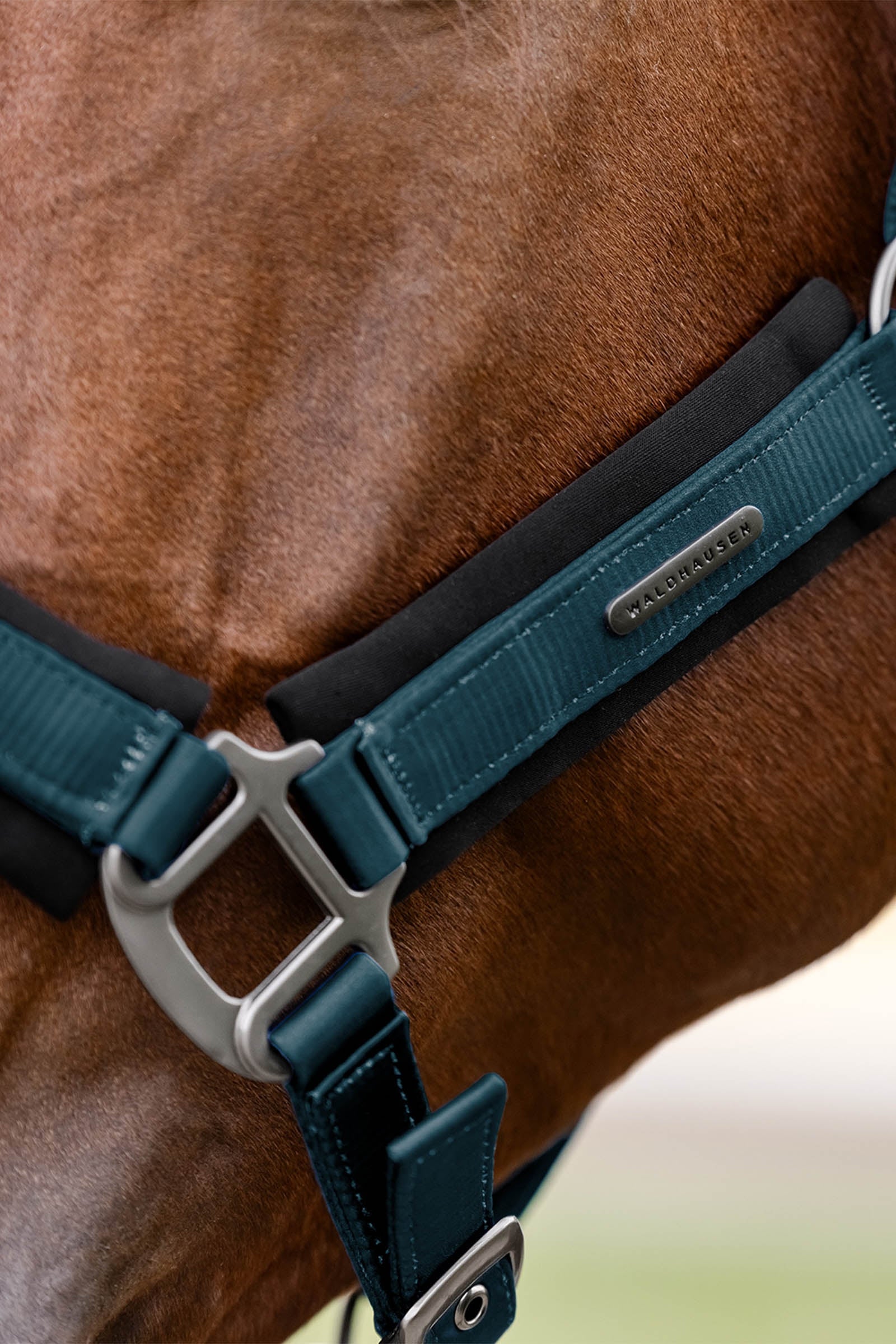 Waldhausen Soft Touch Halter Halters & Leads