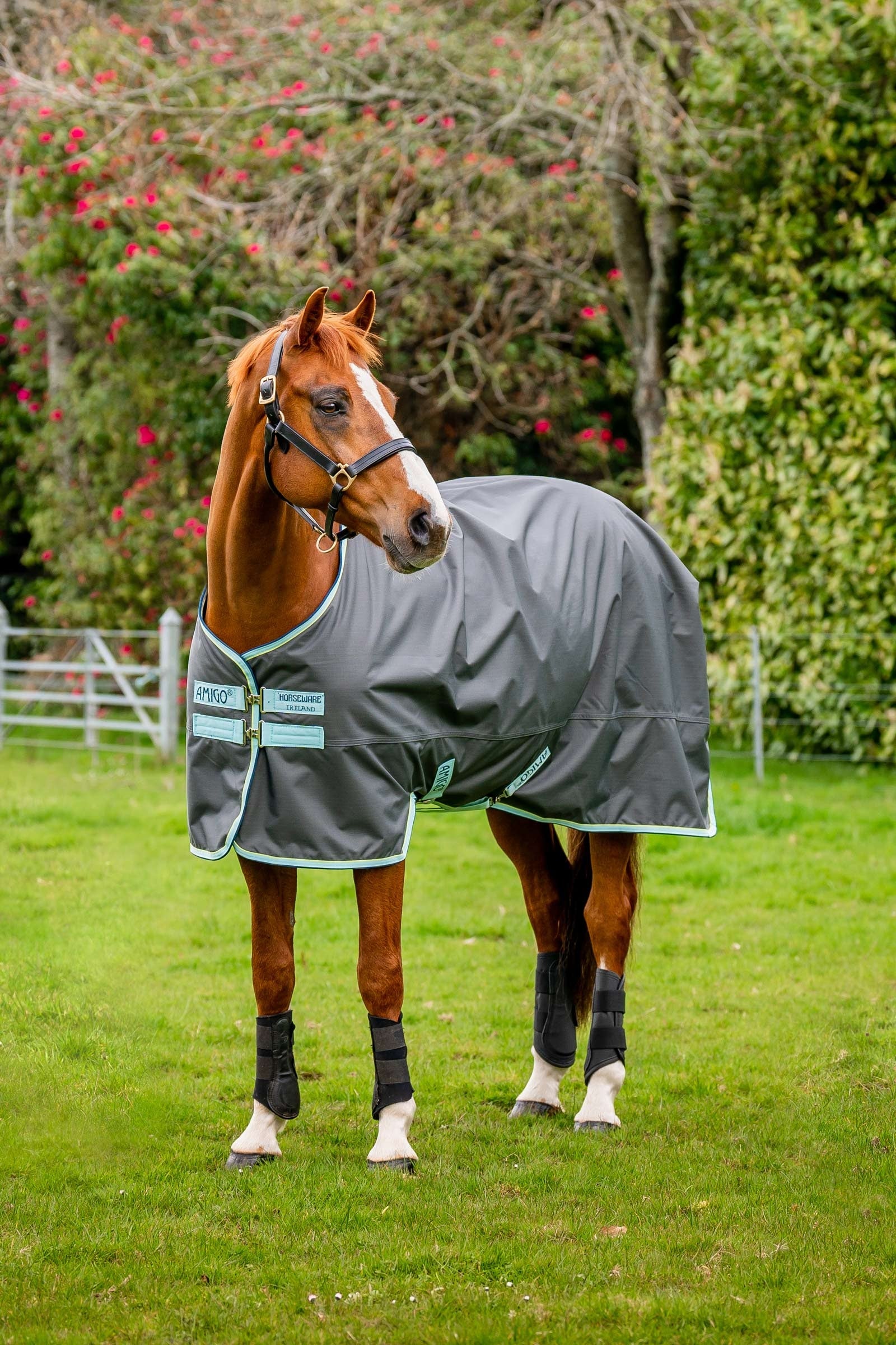 Horseware Amigo Hero Ripstop Turnout Rug With Fleece Lining, 50g Horse Rugs