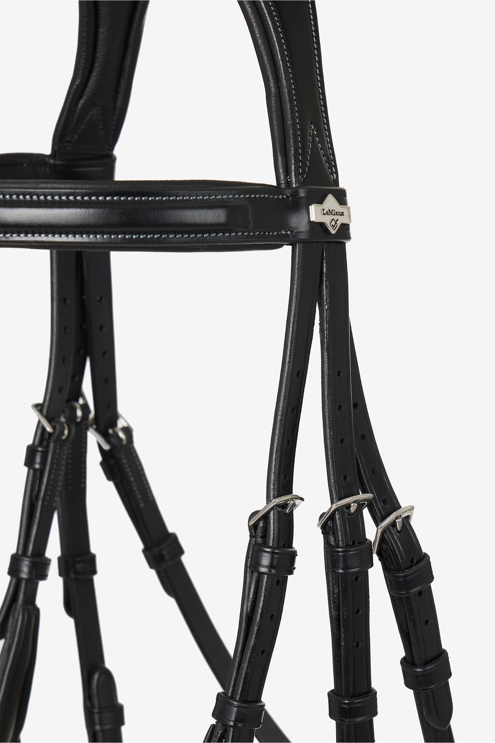 LeMieux Kudos Grackle Bridle Bridles & Reins