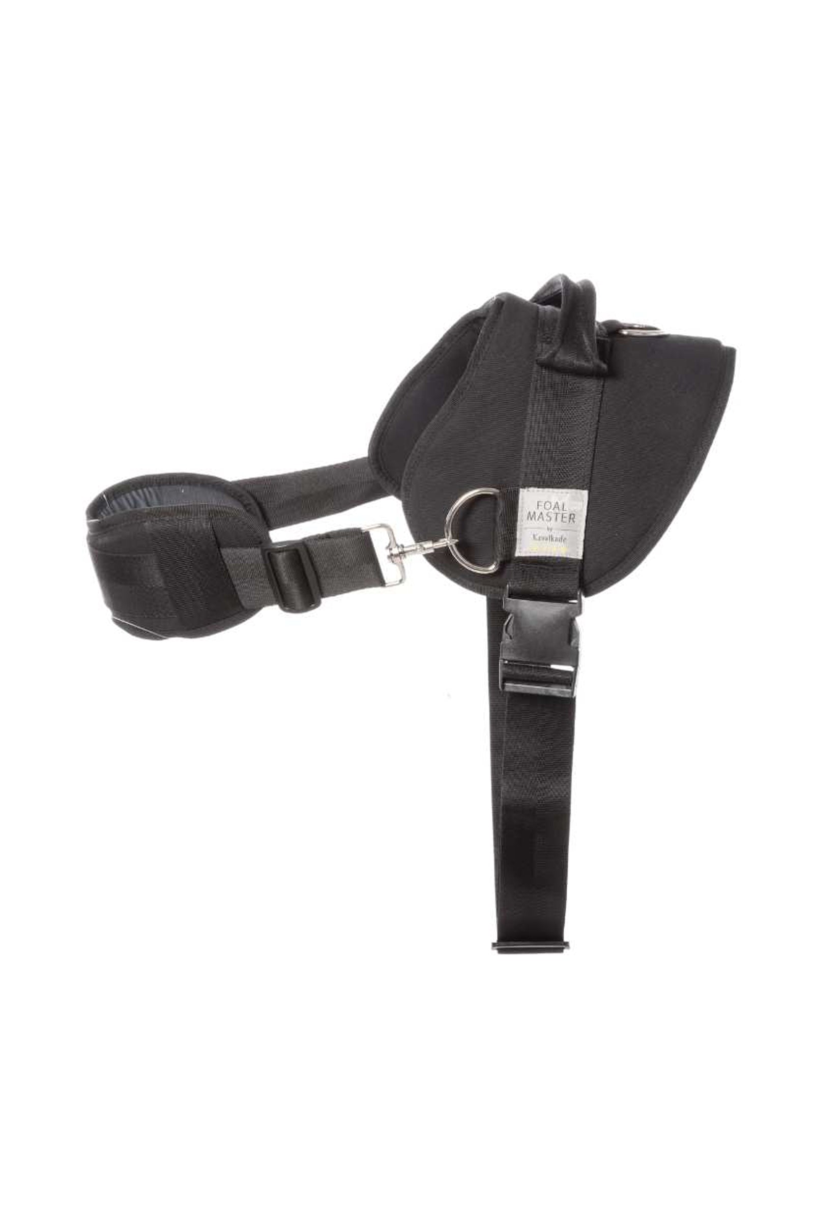 Kavalkade Foalmaster Fohlen-Set mit Griff Pony & Shetland
