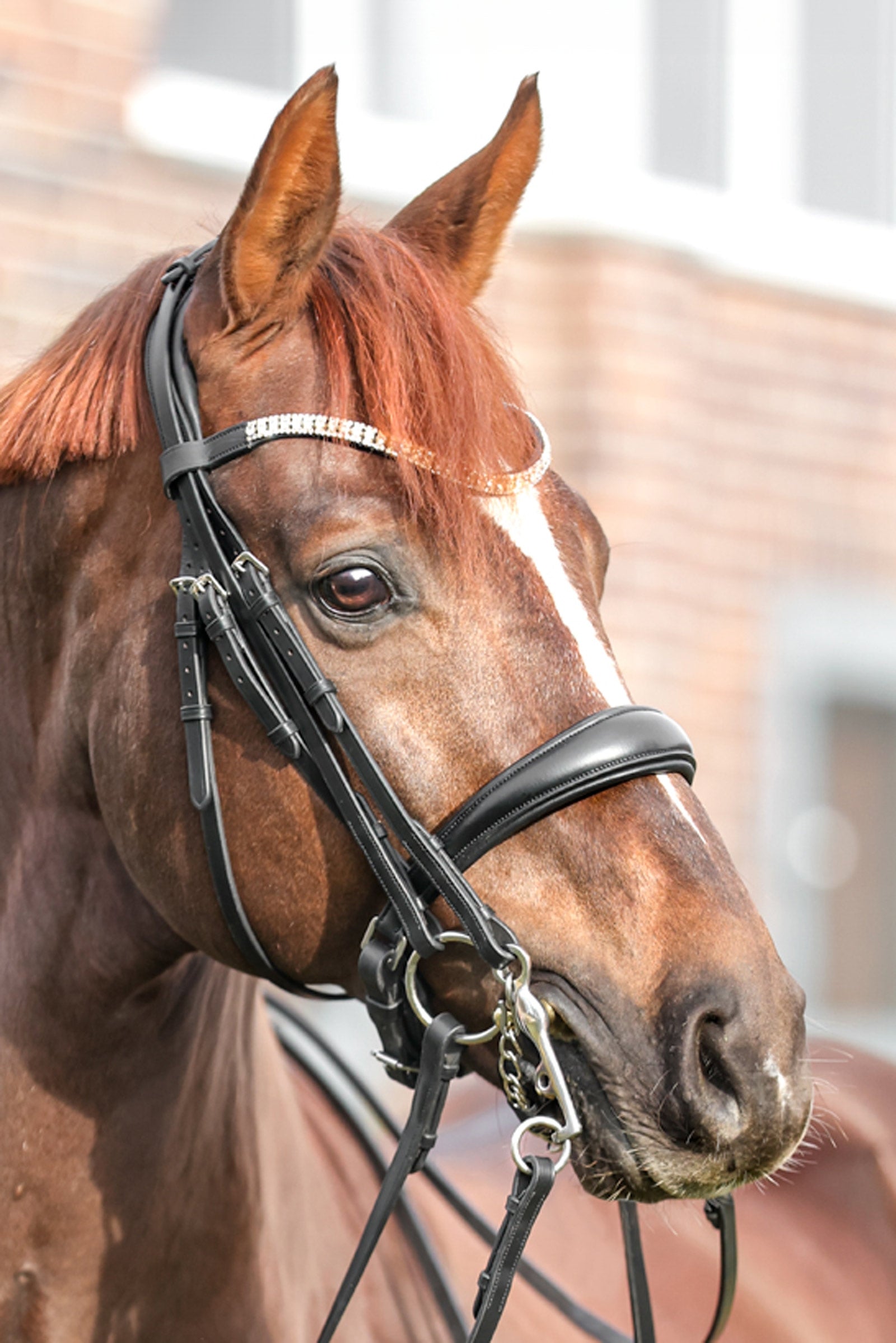 Kavalkade Sonya Weymouth Bridle Trensenzäume & Zügel