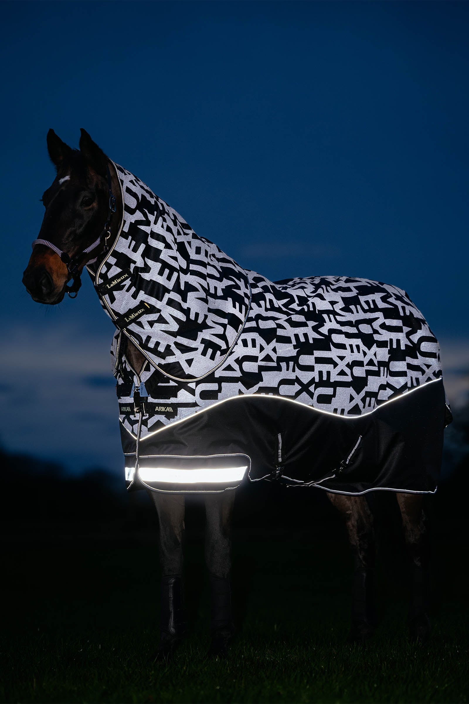 LeMieux Arika reflektierende Weidedecke mit abnehmbarem Halsteil, 200 g Pferdedecken