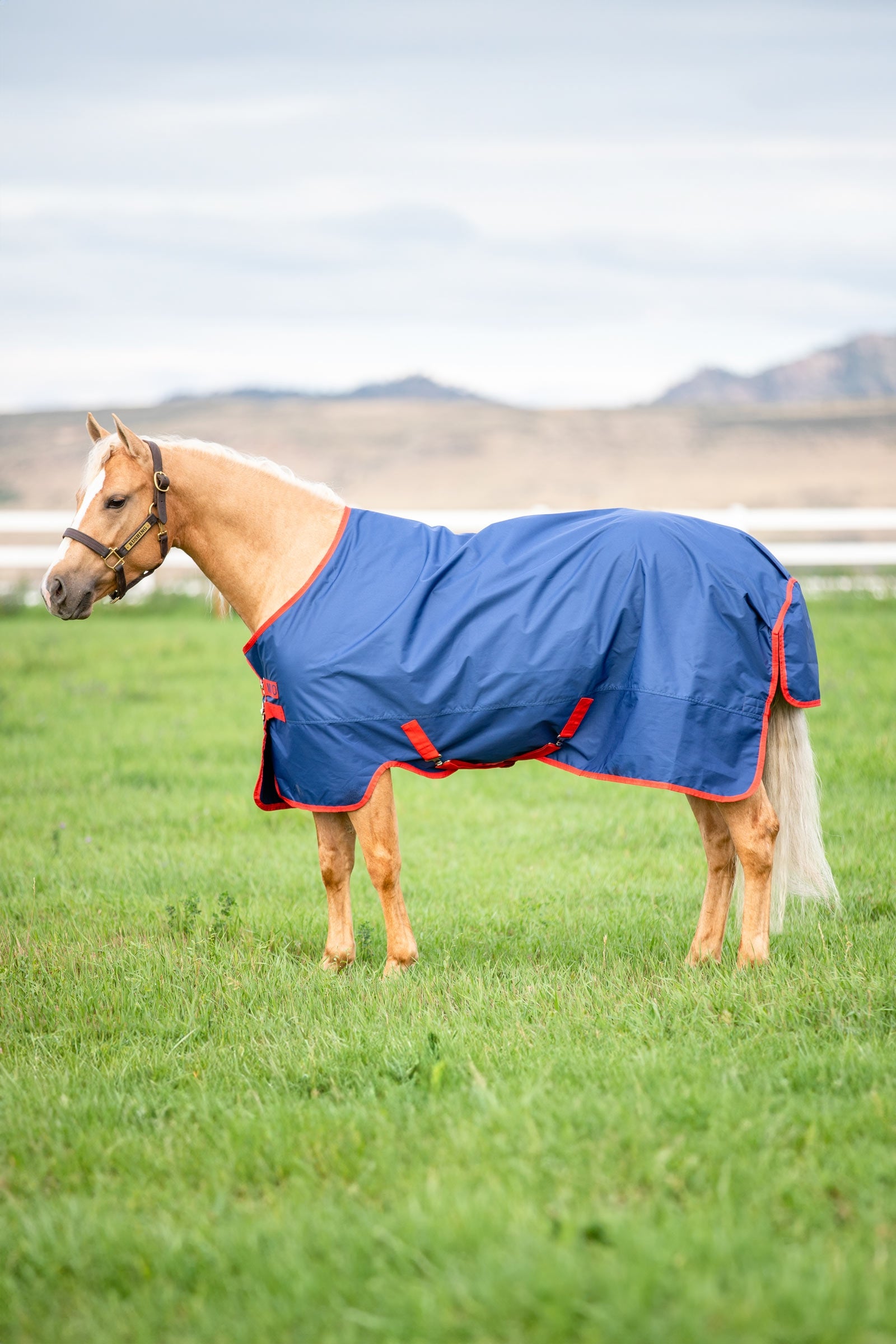 Horseware Mio Weidedecke, 0g Pferdedecken