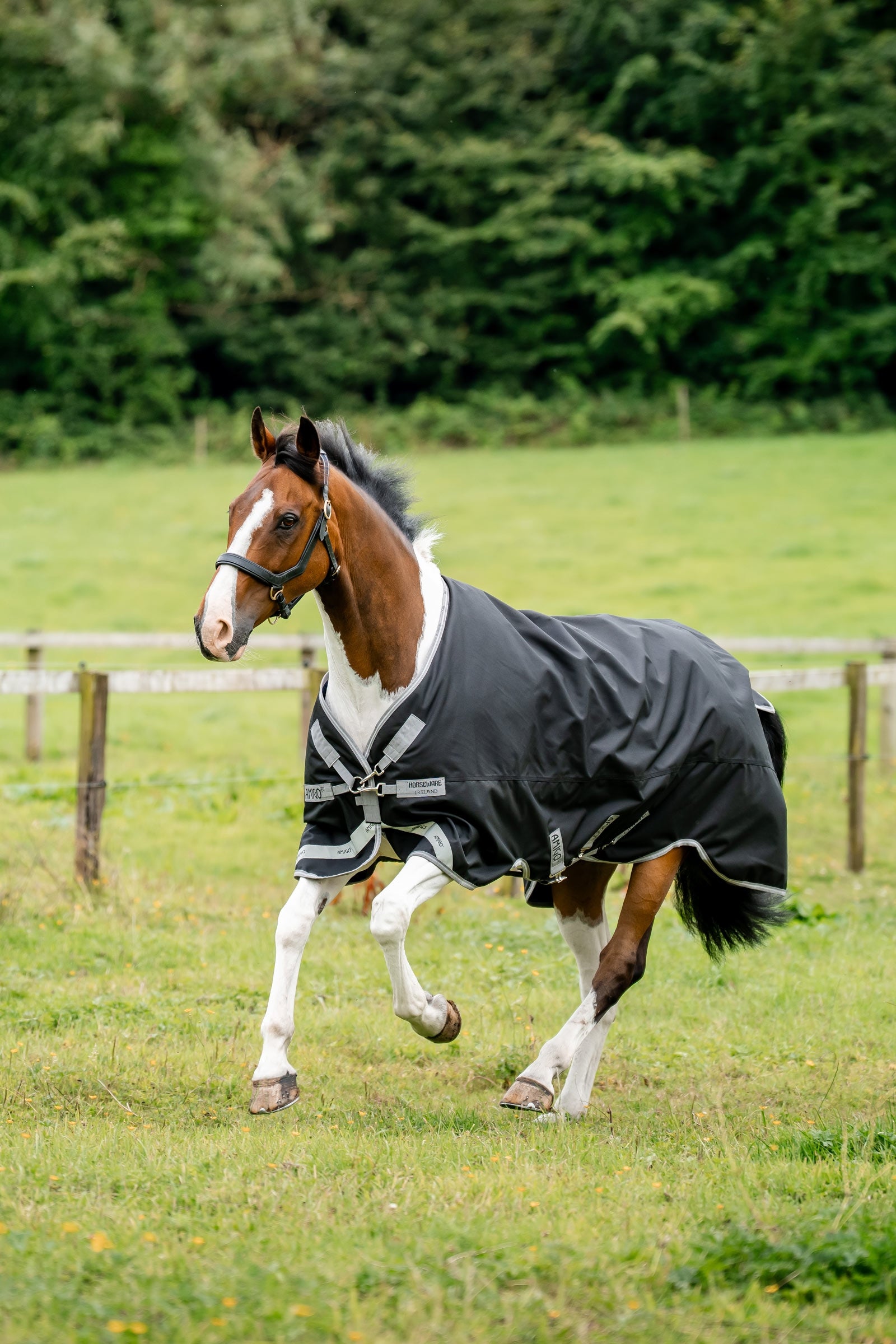 Horseware Amigo 1200D Outdoordecke, 50 g Pferdedecken