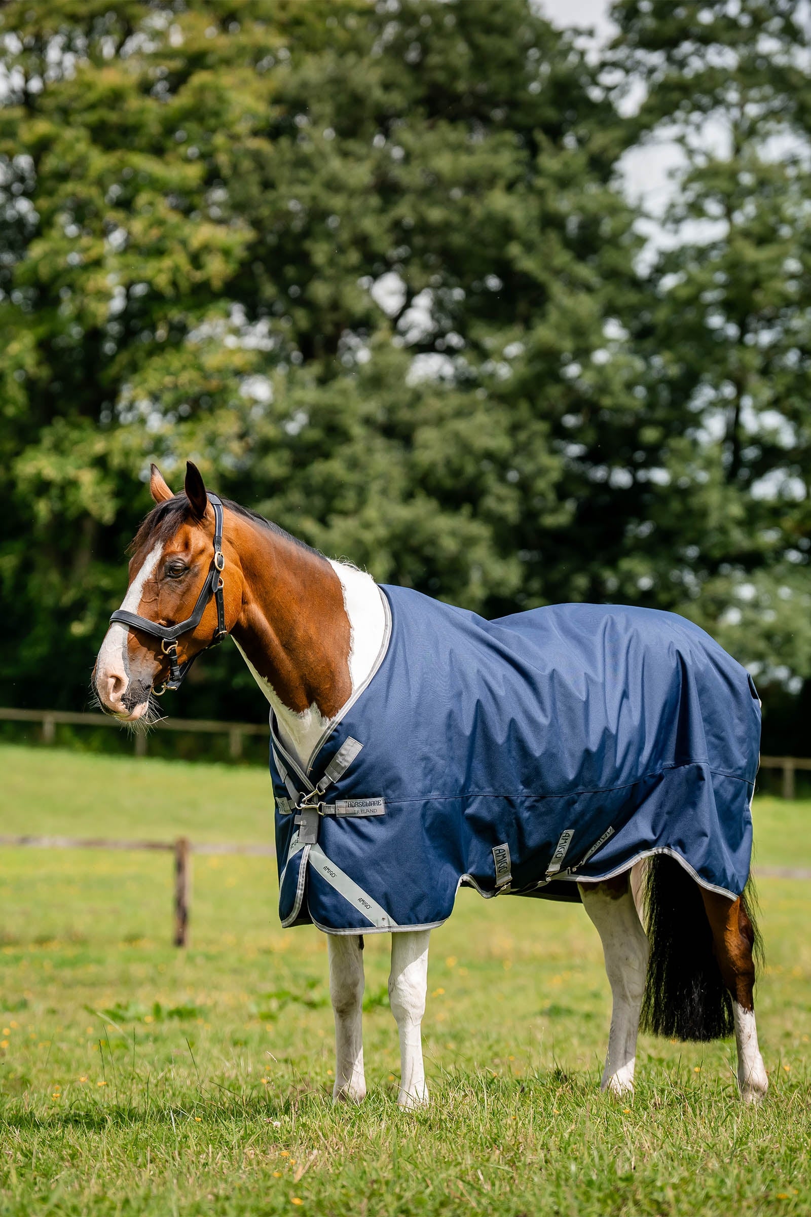 Horseware Amigo 1200D Outdoordecke, 50 g Pferdedecken