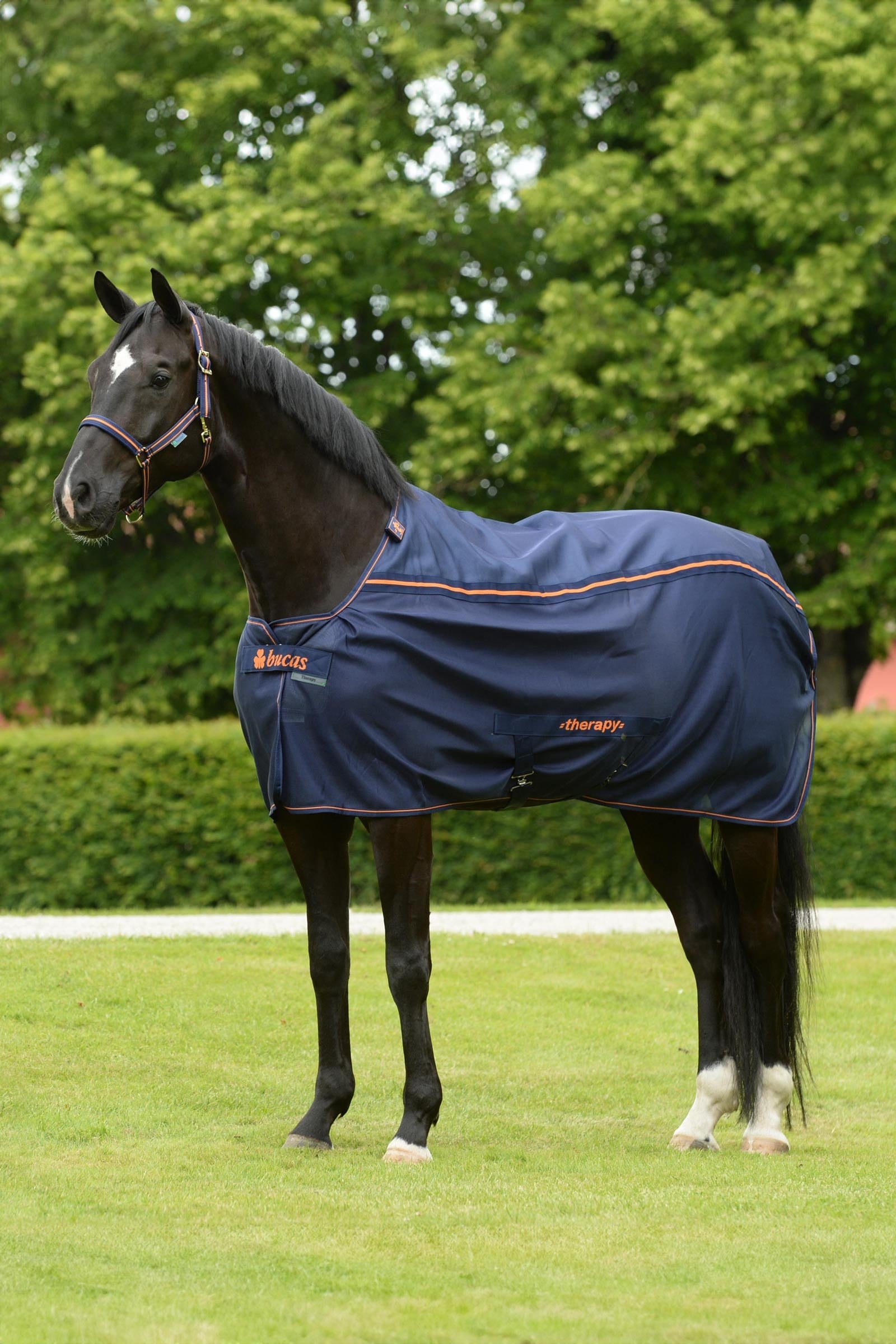 Bucas Therapy Mesh Cooler Rug Horse Rugs