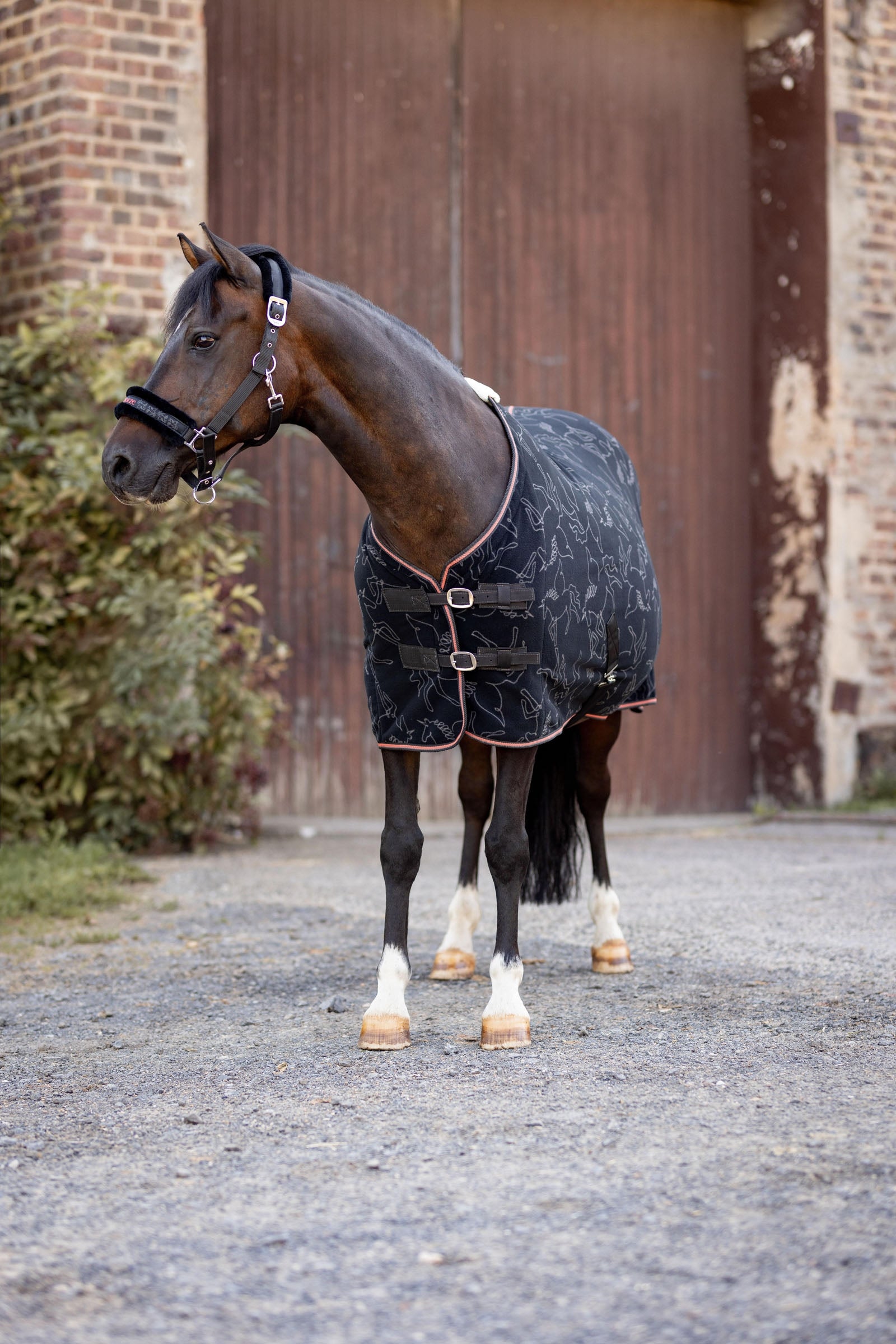 Horze Pegasus Pony Fleece Cooler Rug Horse Rugs