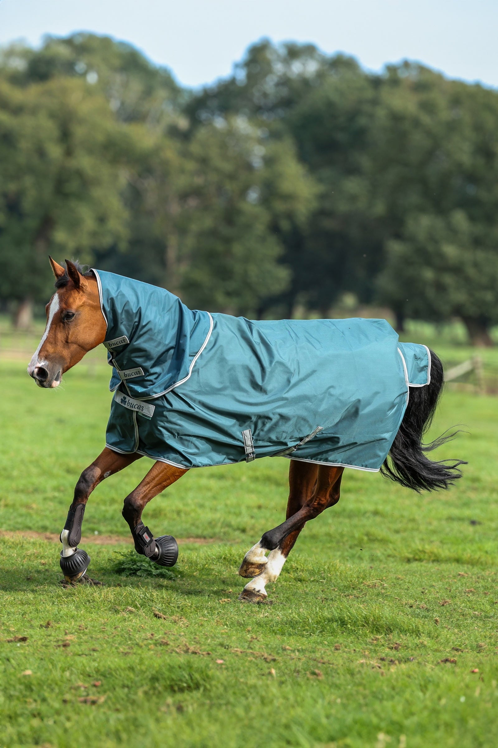 Bucas Atlantic Turnout Neck, 50 g Horse Rugs