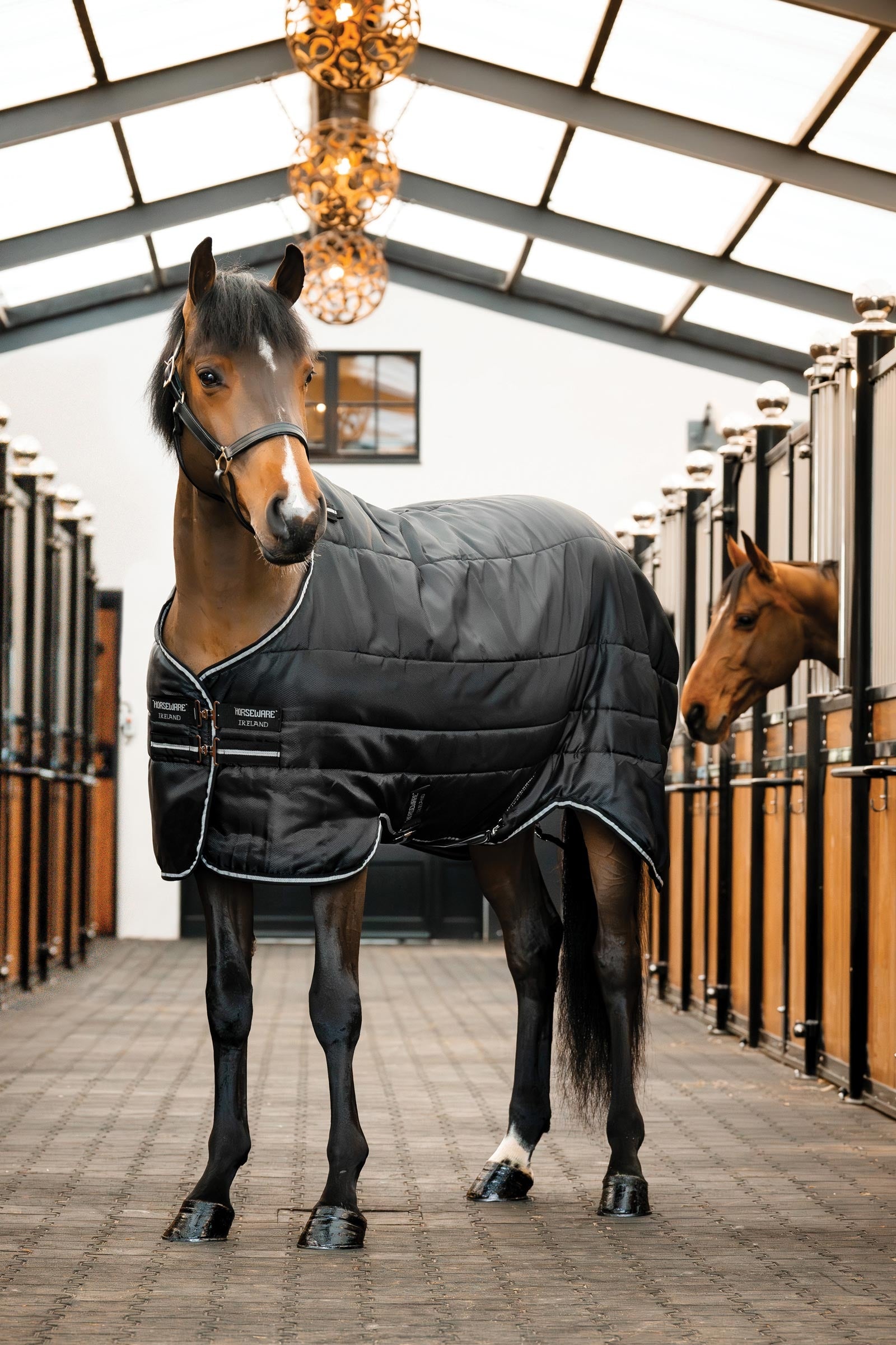 Horseware Easy-Layer Stablerug 100g Horse Rugs