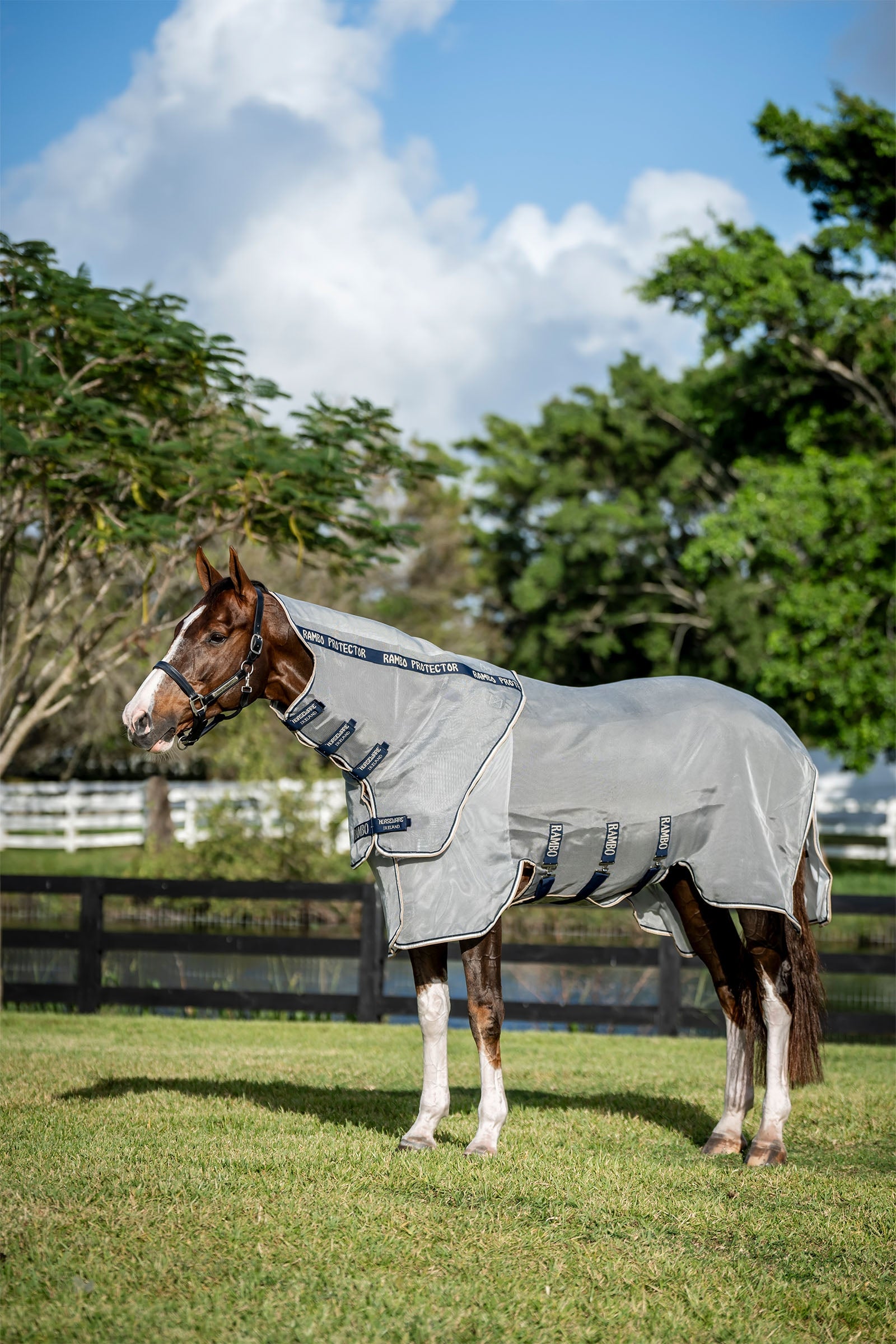 Horseware Rambo Protector Fieldsafe Plus Pferdedecken
