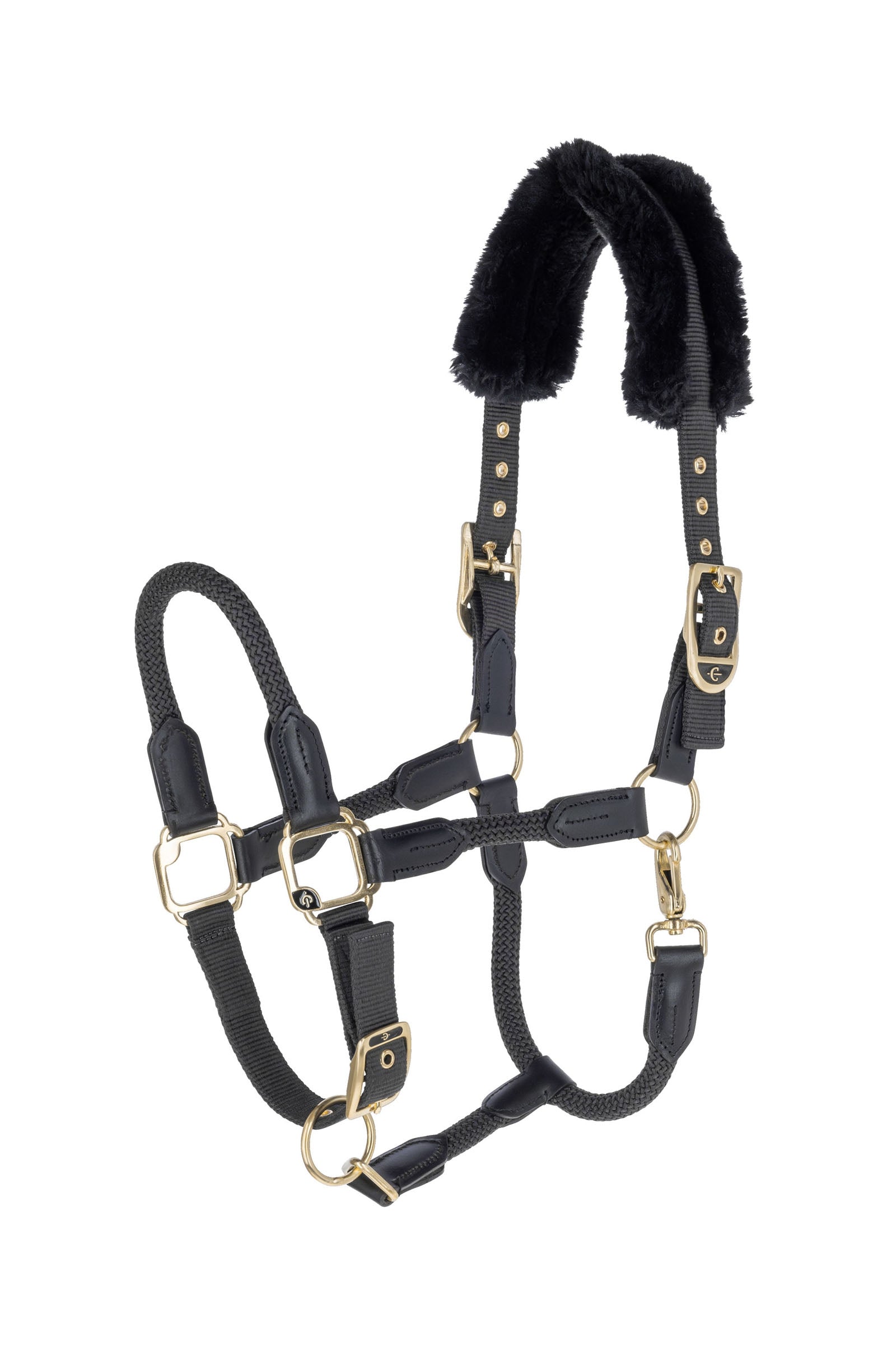 Covalliero Jubiläums Halfter Halfter & Stricke