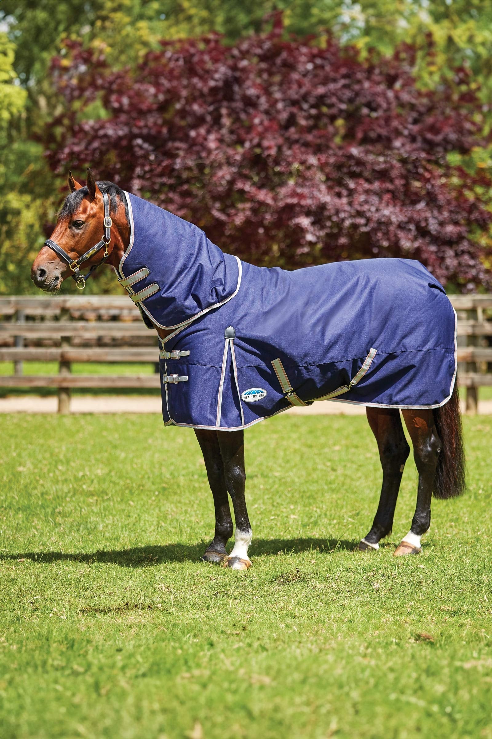 Weatherbeeta Comfitec Essential Detach-a-Neck Medium Weidedecke, 220g Pferdedecken