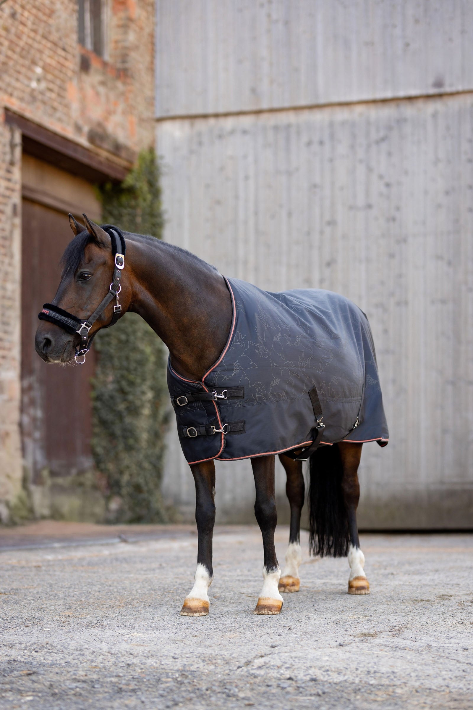 Horze Pegasus Pony turnout 200gsm Horse Rugs