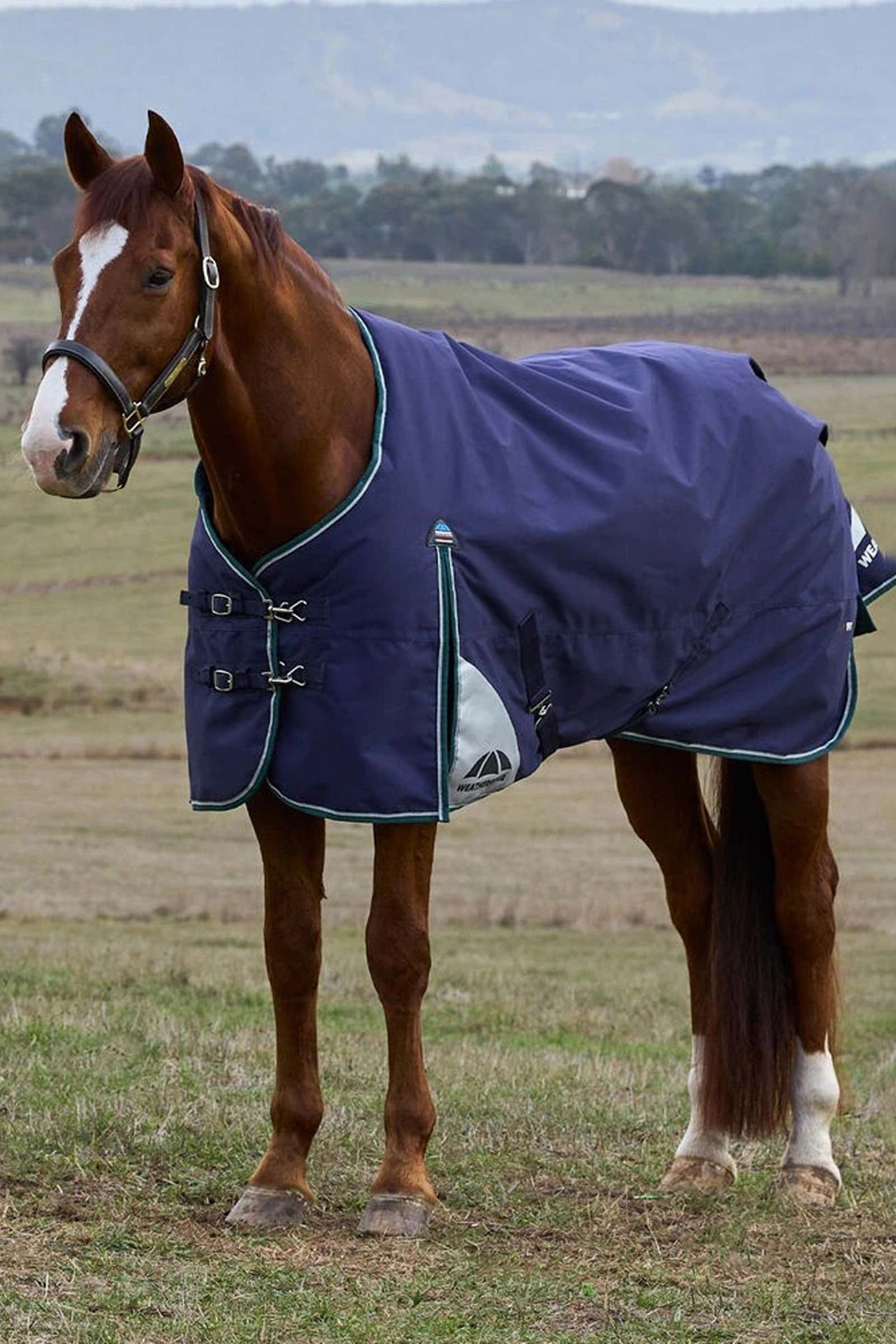 Weatherbeeta ComFiTecPlus Dynamic Turnout Standard Neck 0G Pferdedecken