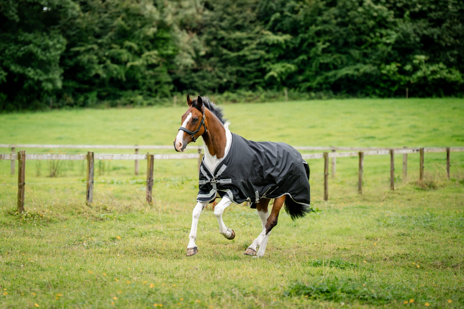 Horseware Amigo 1200D Outdoordecke, 100 g Pferdedecken
