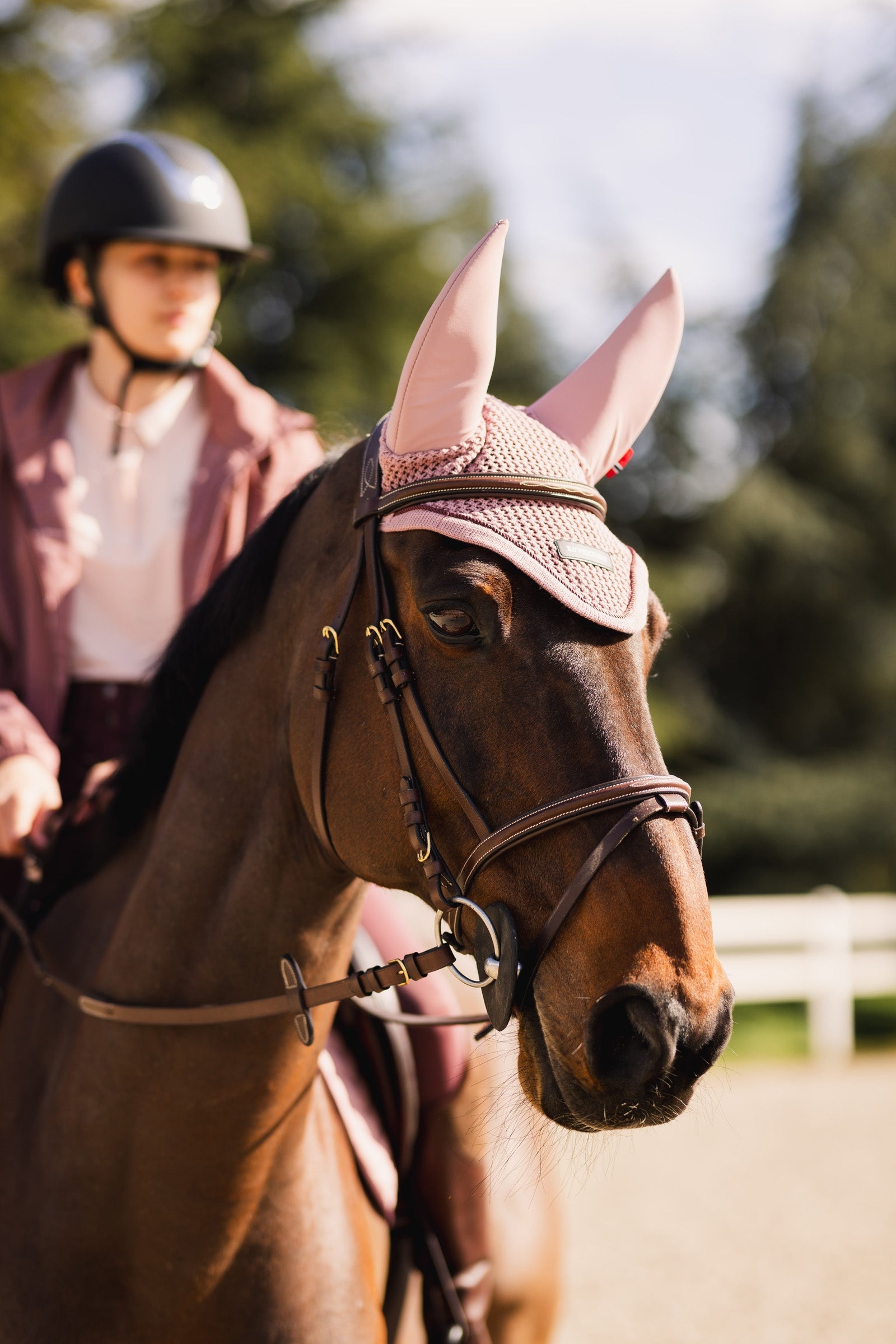 B Vertigo Rouge Reflection Fly Hood Antifly Protection for Horses