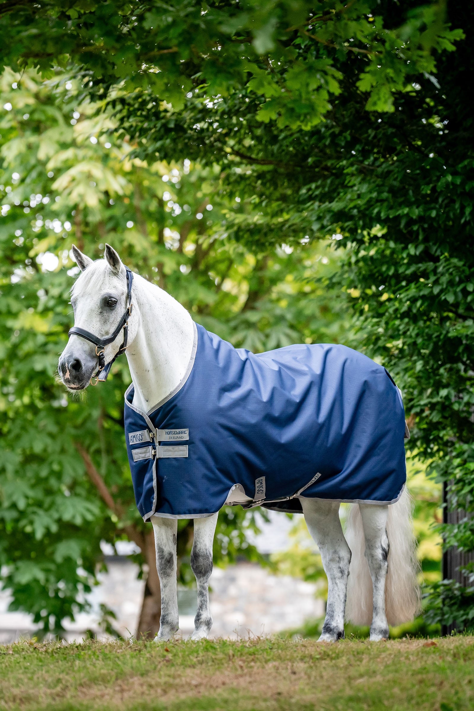 Horseware Amigo Ripstop Weidedecke 900D, 50g Pferdedecken