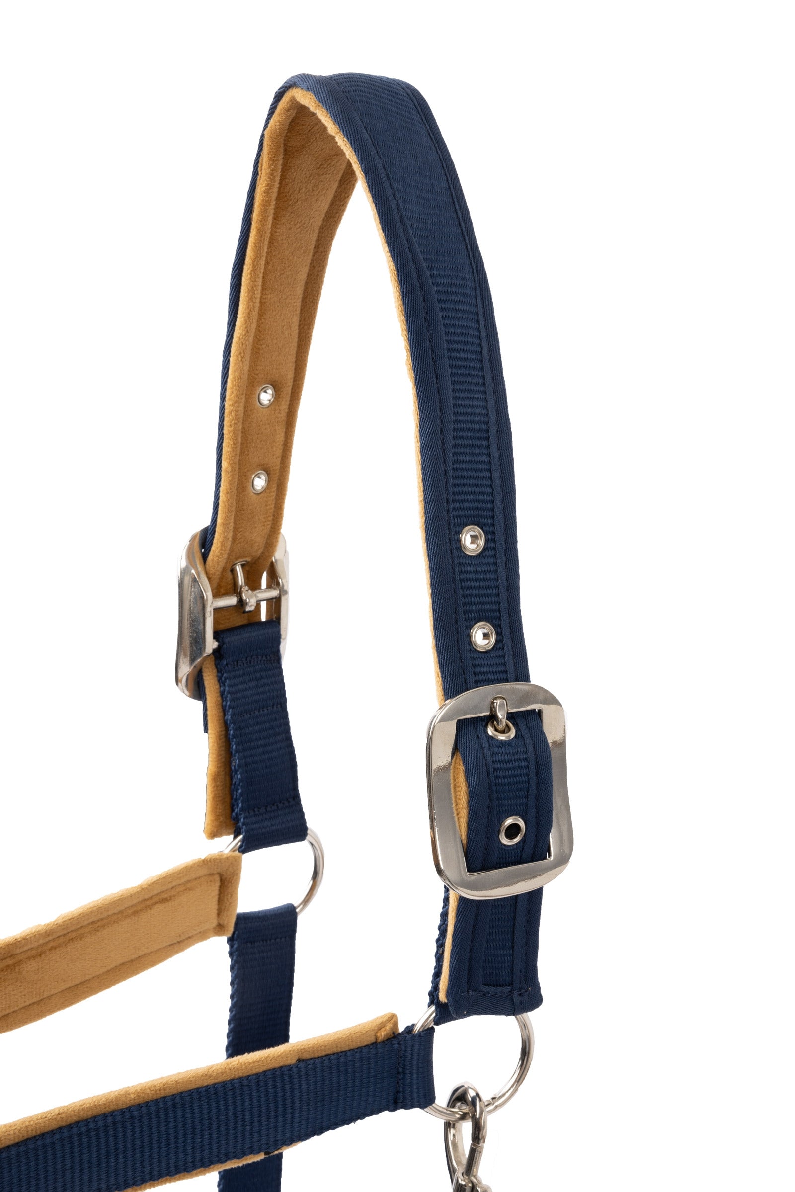Horze Delémont Shaped Halter Halters & Leads