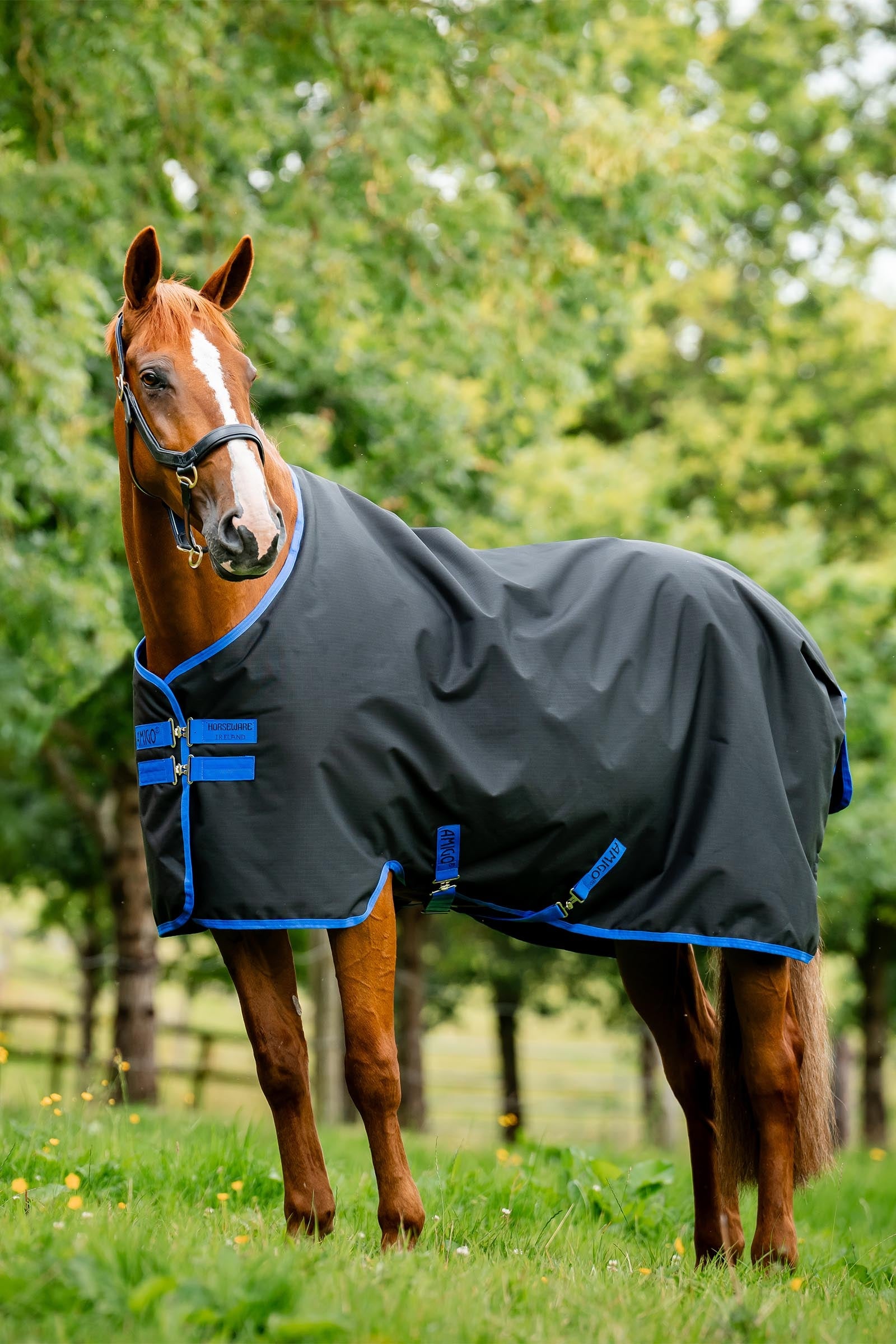Horseware Amigo Ripstop 900D Outdoordecke mit Fleecefutter, 50 g Pferdedecken