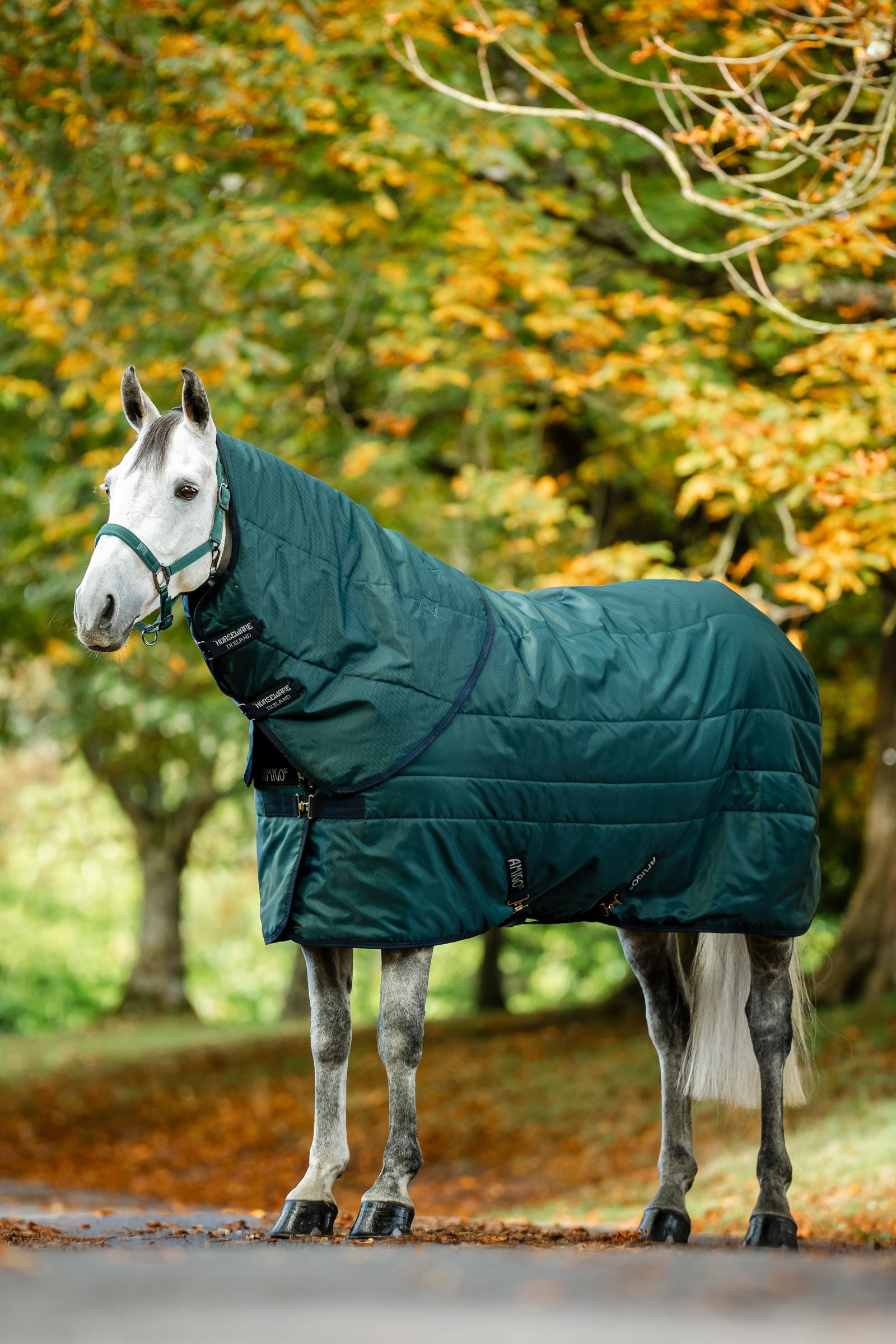 Horseware Amigo Ripstop Insulator Stalldecke 50g Pferdedecken