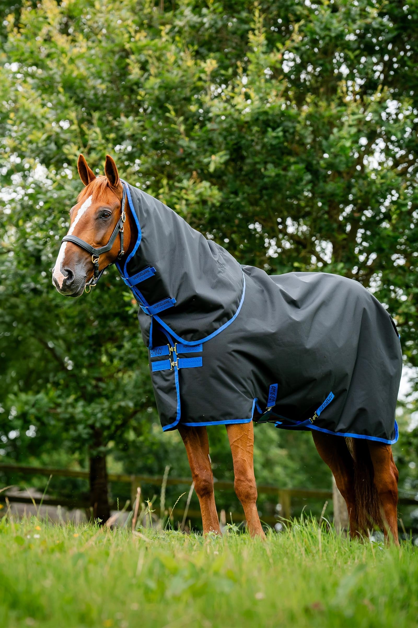 Horseware Amigo Ripstop 900D Plus Outdoordecke, 200 g Pferdedecken