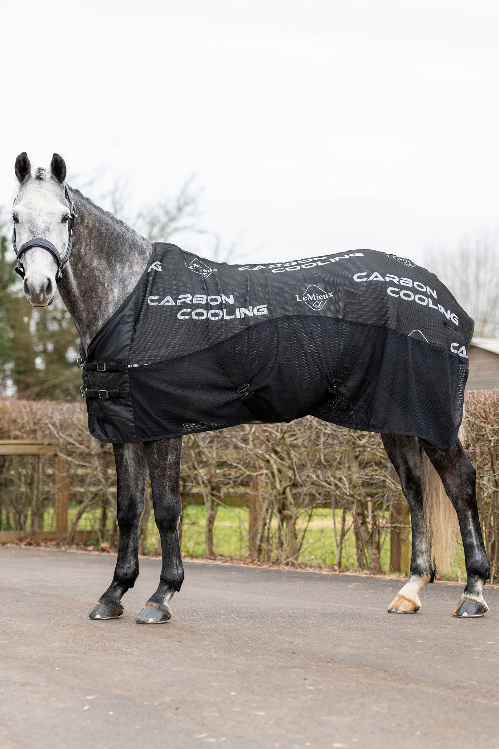 LeMieux Carbon Abschwitzdecke Pferdedecken