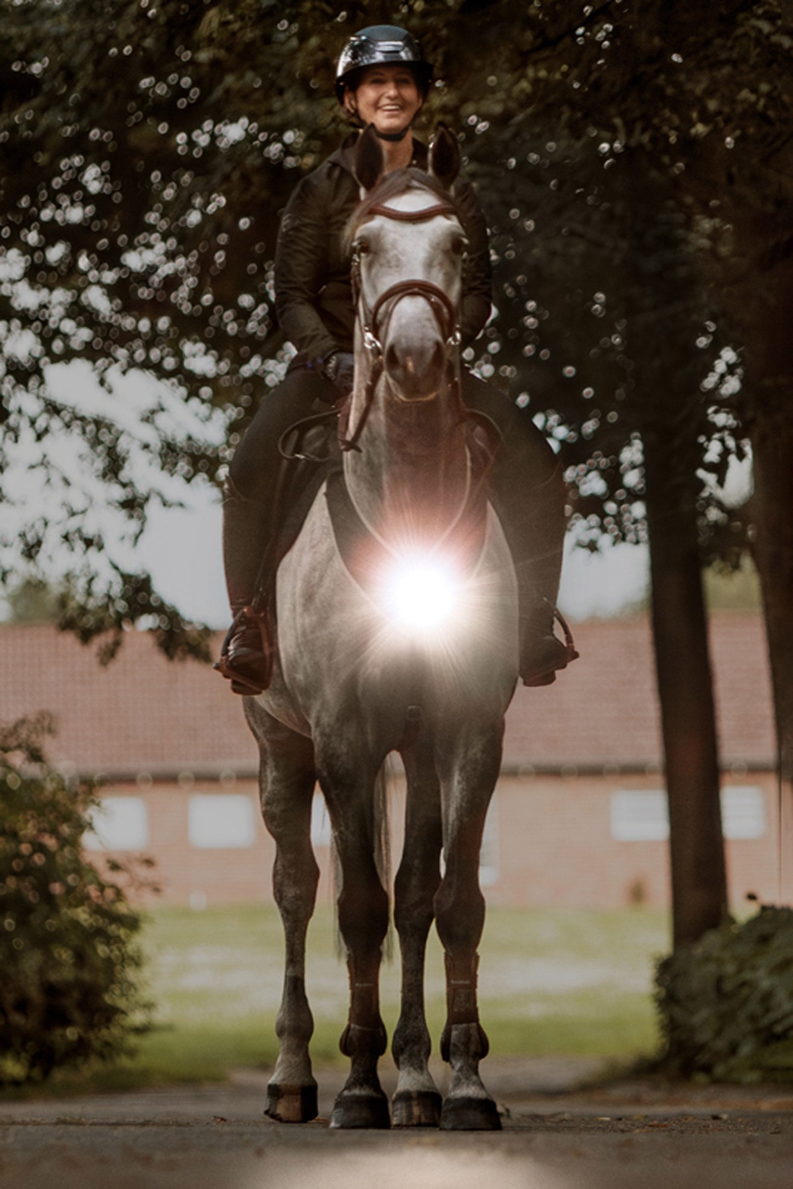 Kavalkade Horselight Breastplate & Saddle Light, Set 1 Reflective