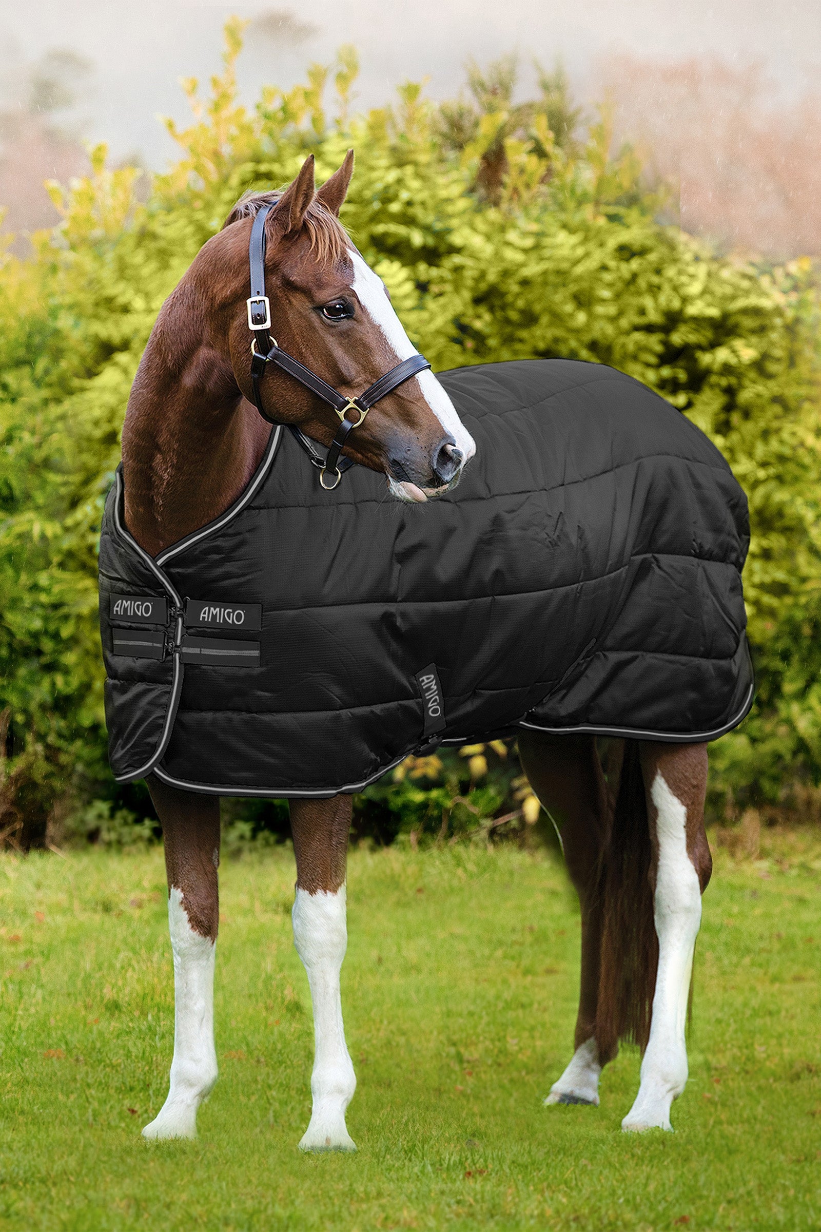 Horseware Amigo Ripstop Insulator Stalldecke, 200g Pferdedecken