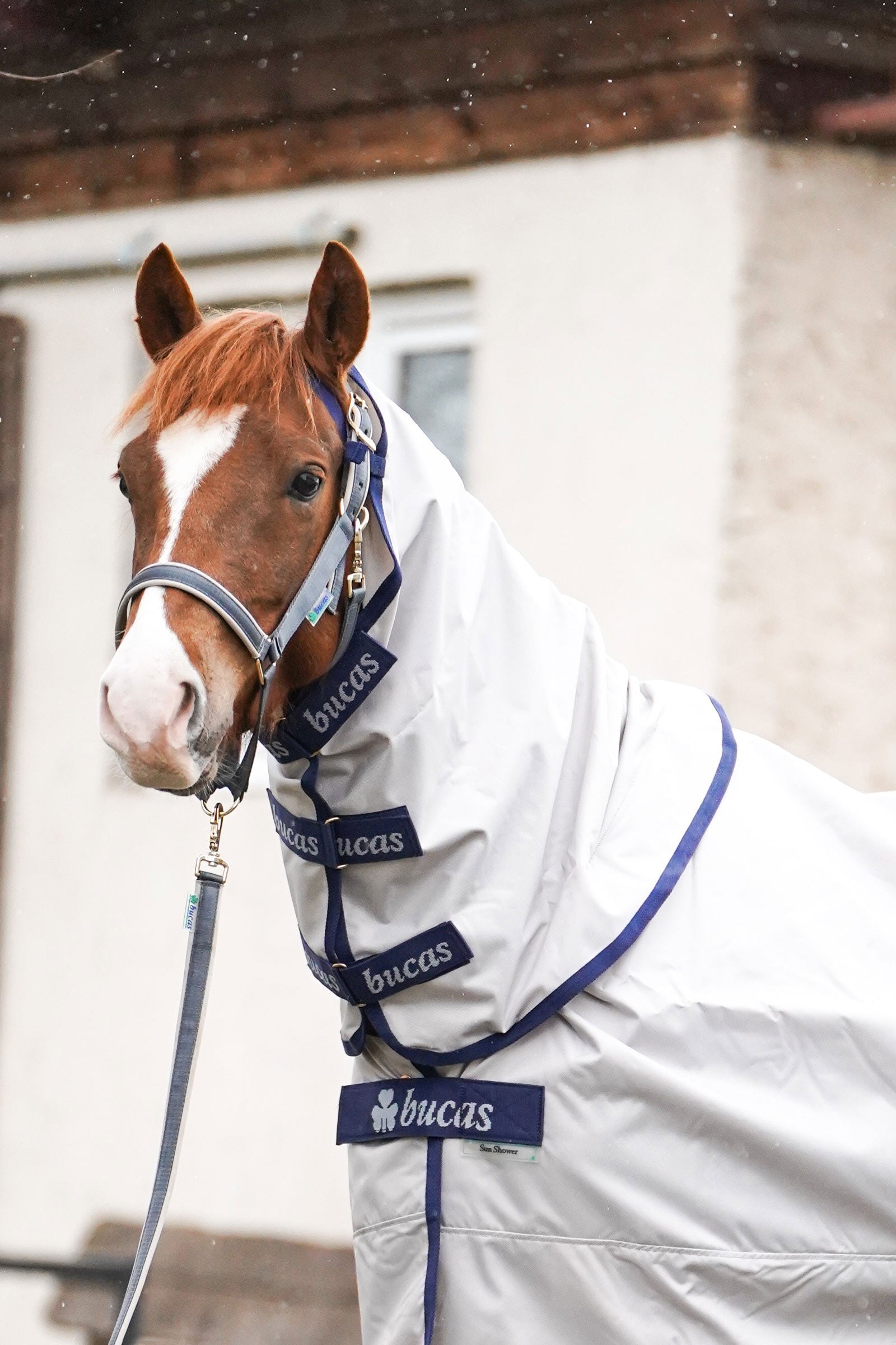 Bucas Sun Shower Neck, 0 g Horse Rugs