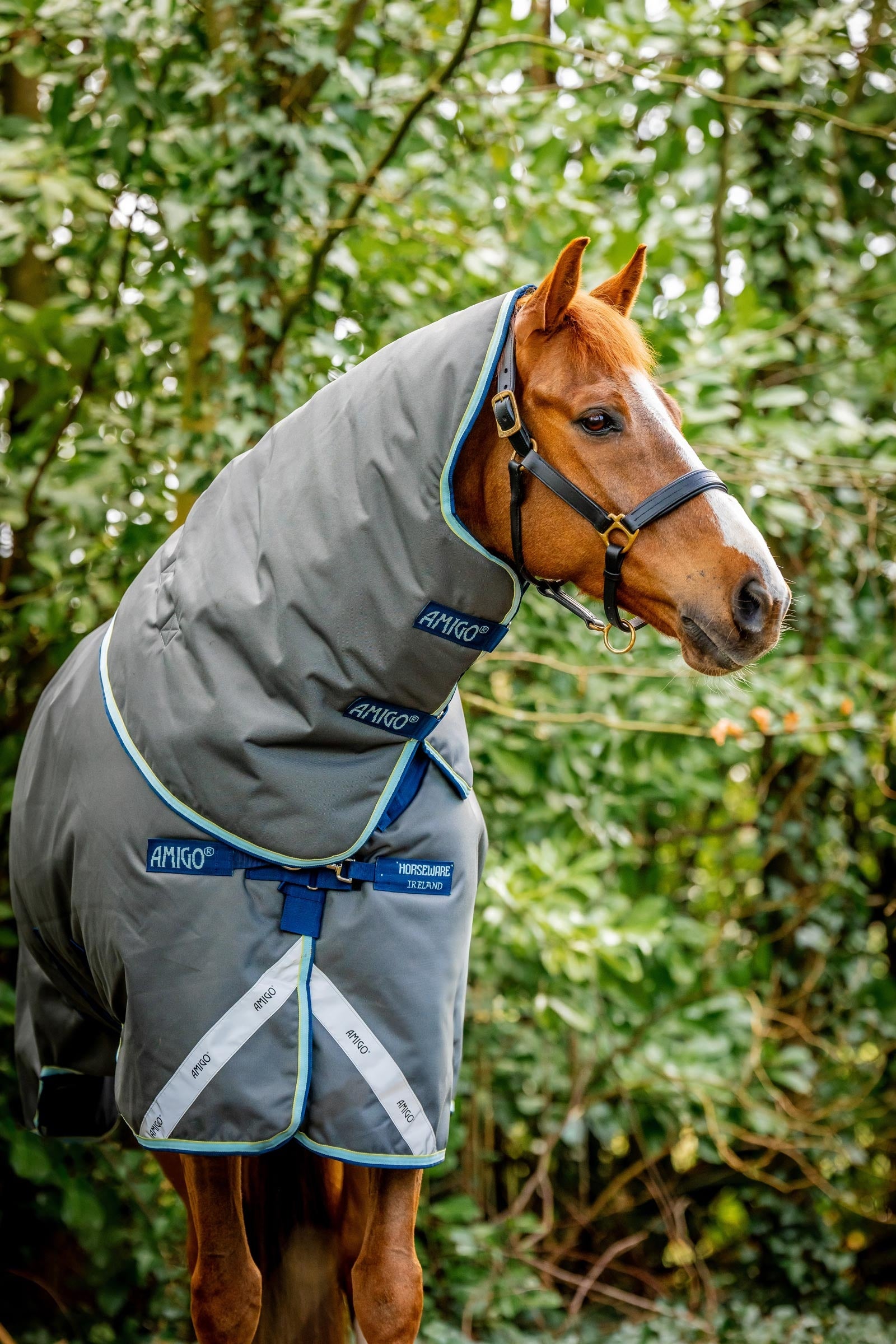 Horseware Amigo Bravo 12 Plus Turnout Rug With Detachable Neck, 400g Horse Rugs