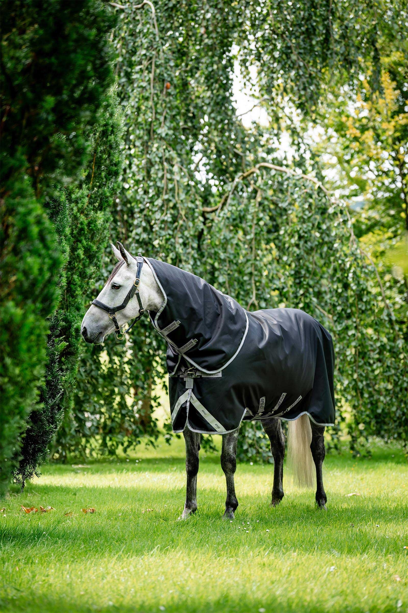 Horseware Amigo Bravo 12 Plus Weidedecke mit abnehmbarem Hals, 400g Pferdedecken