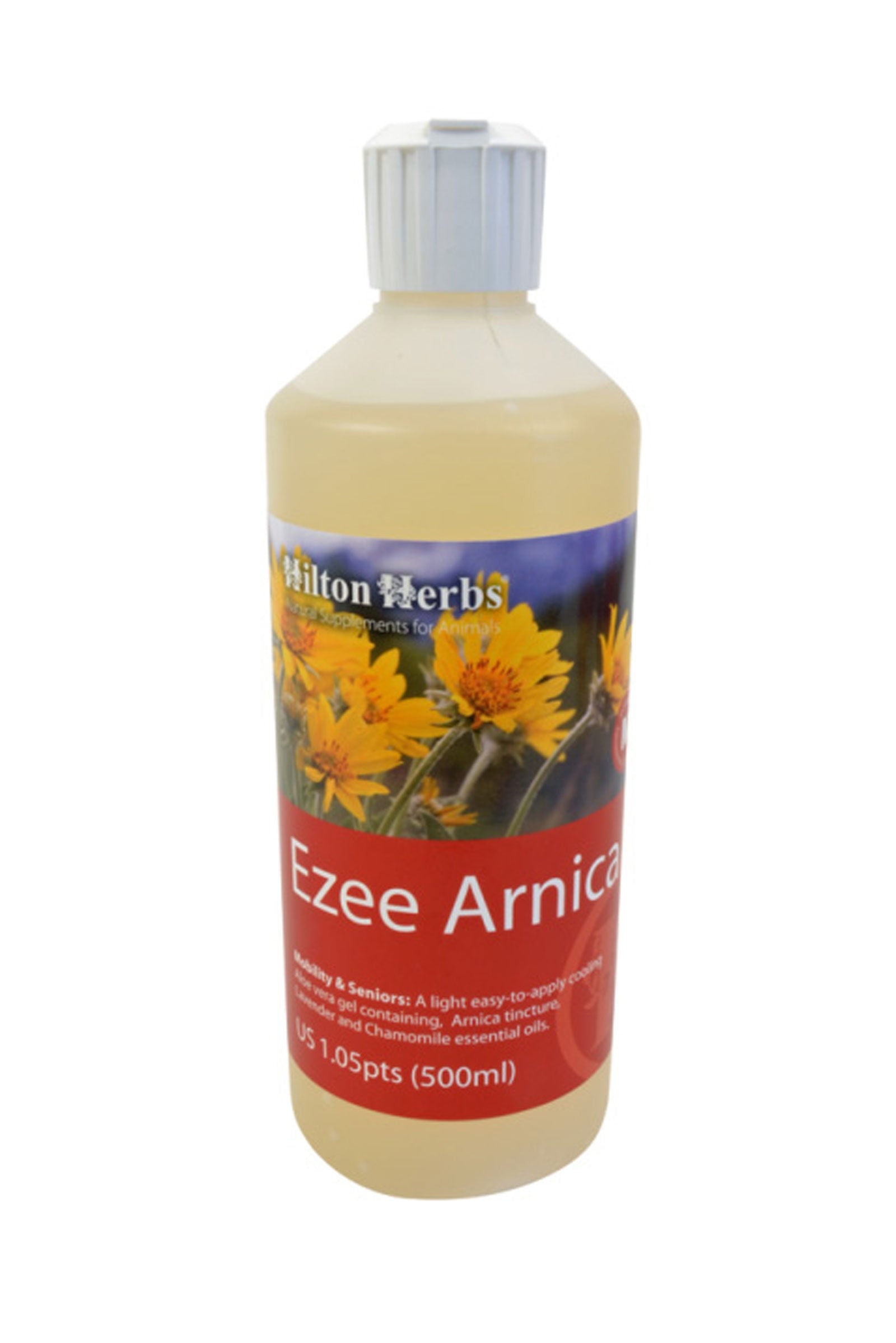 Hilton Herbs HiltonHerbs Ezee Arnica 250ml Pflege