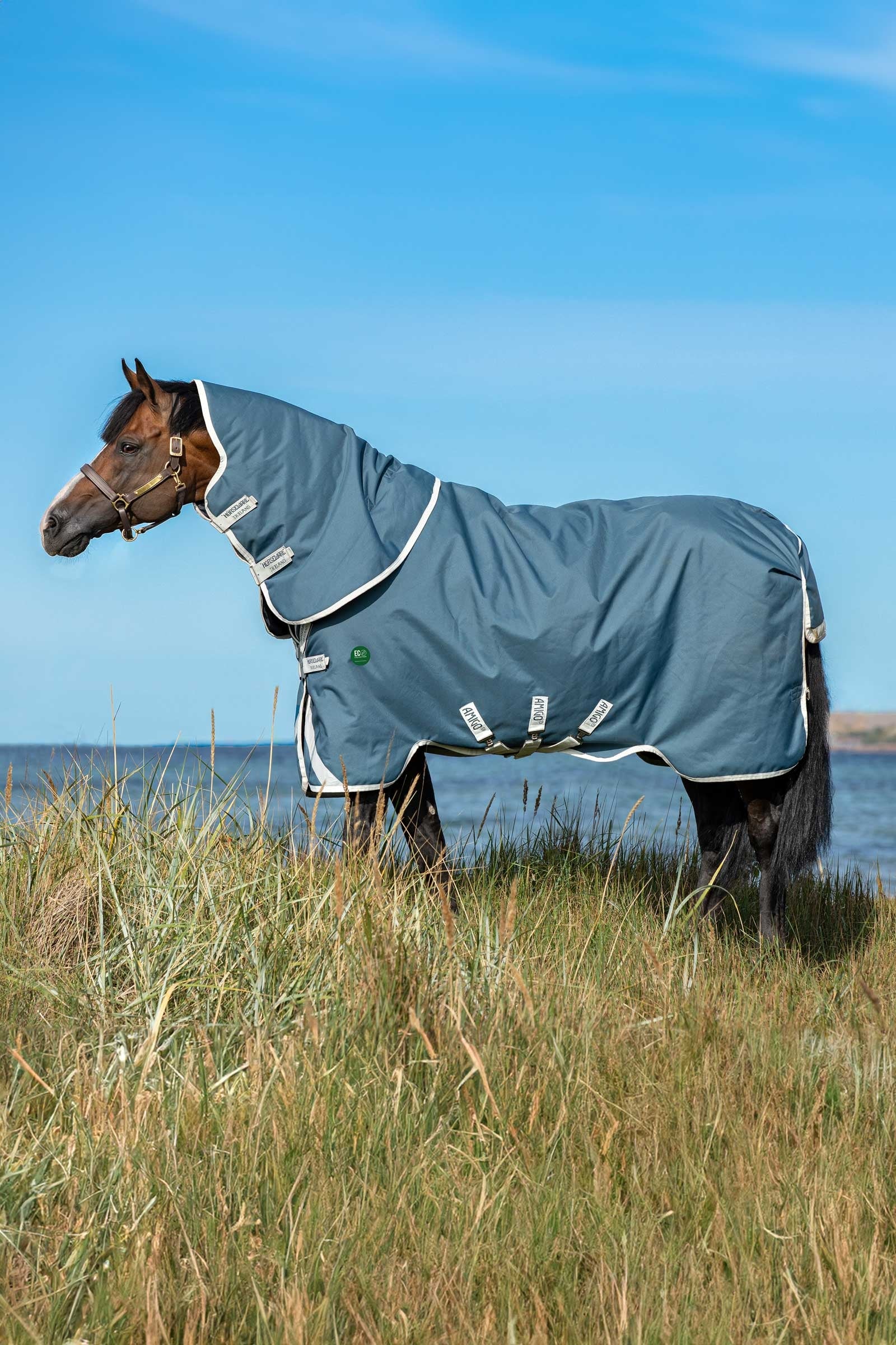 Horseware Amigo AmEco 12 Plus Weidedecke mit abnehmbarem Halsteil, 100g Pferdedecken