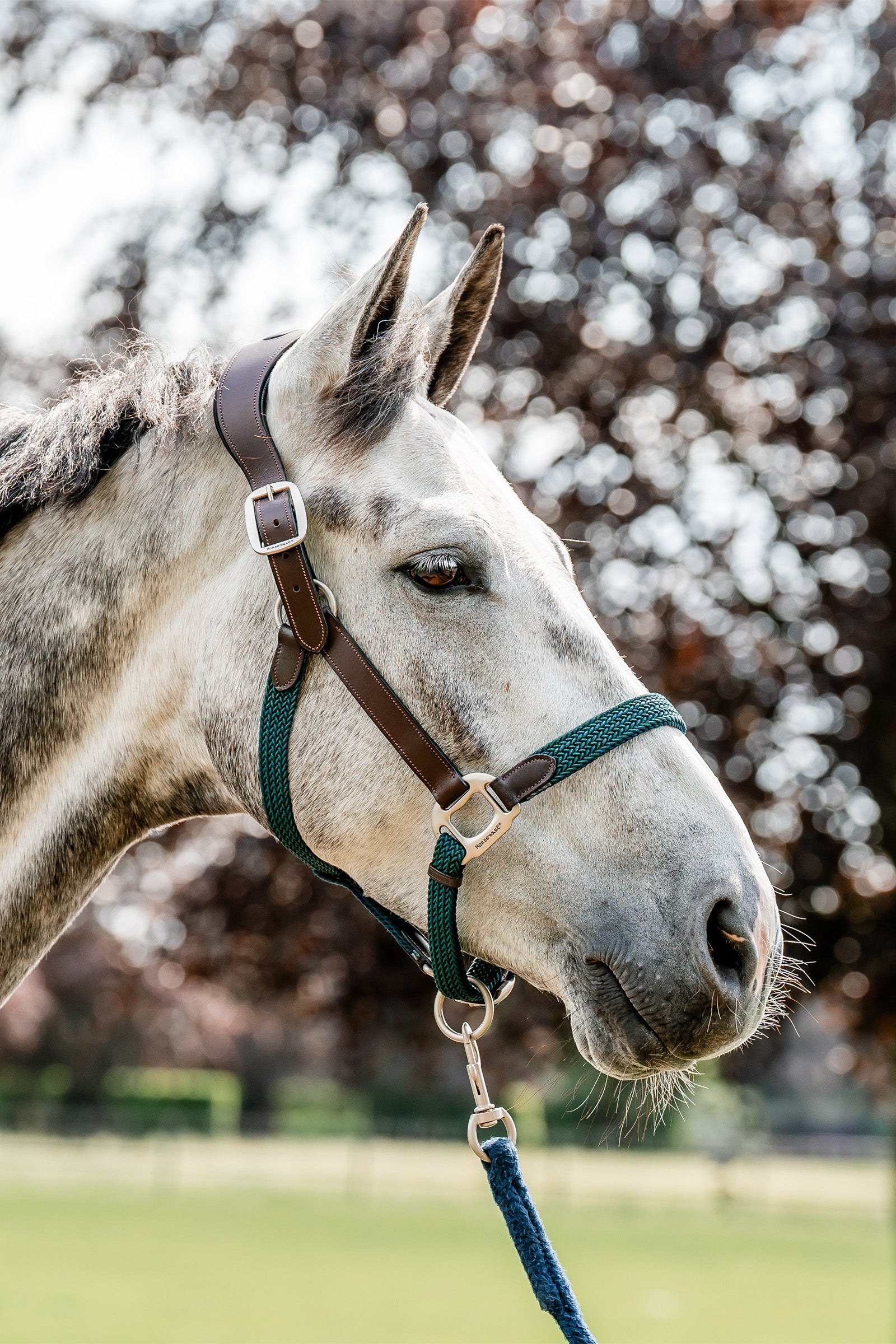 Horseware Signature Braided Headcollar Halters & Leads