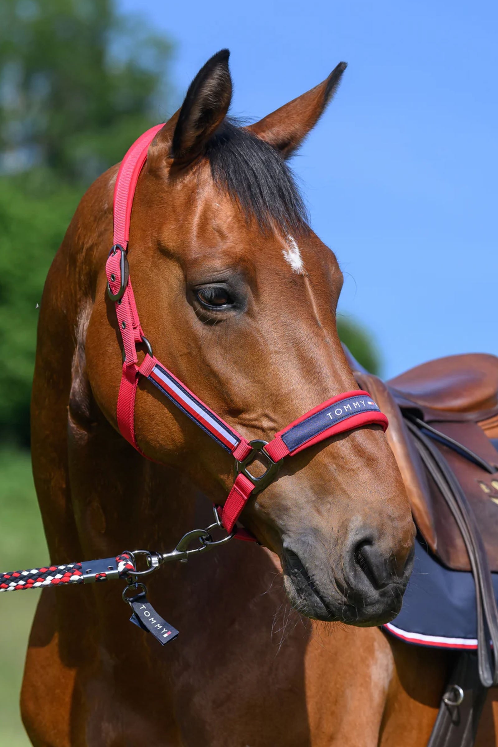 Tommy Hilfiger Equestrian Lincoln Halter Halters & Leads