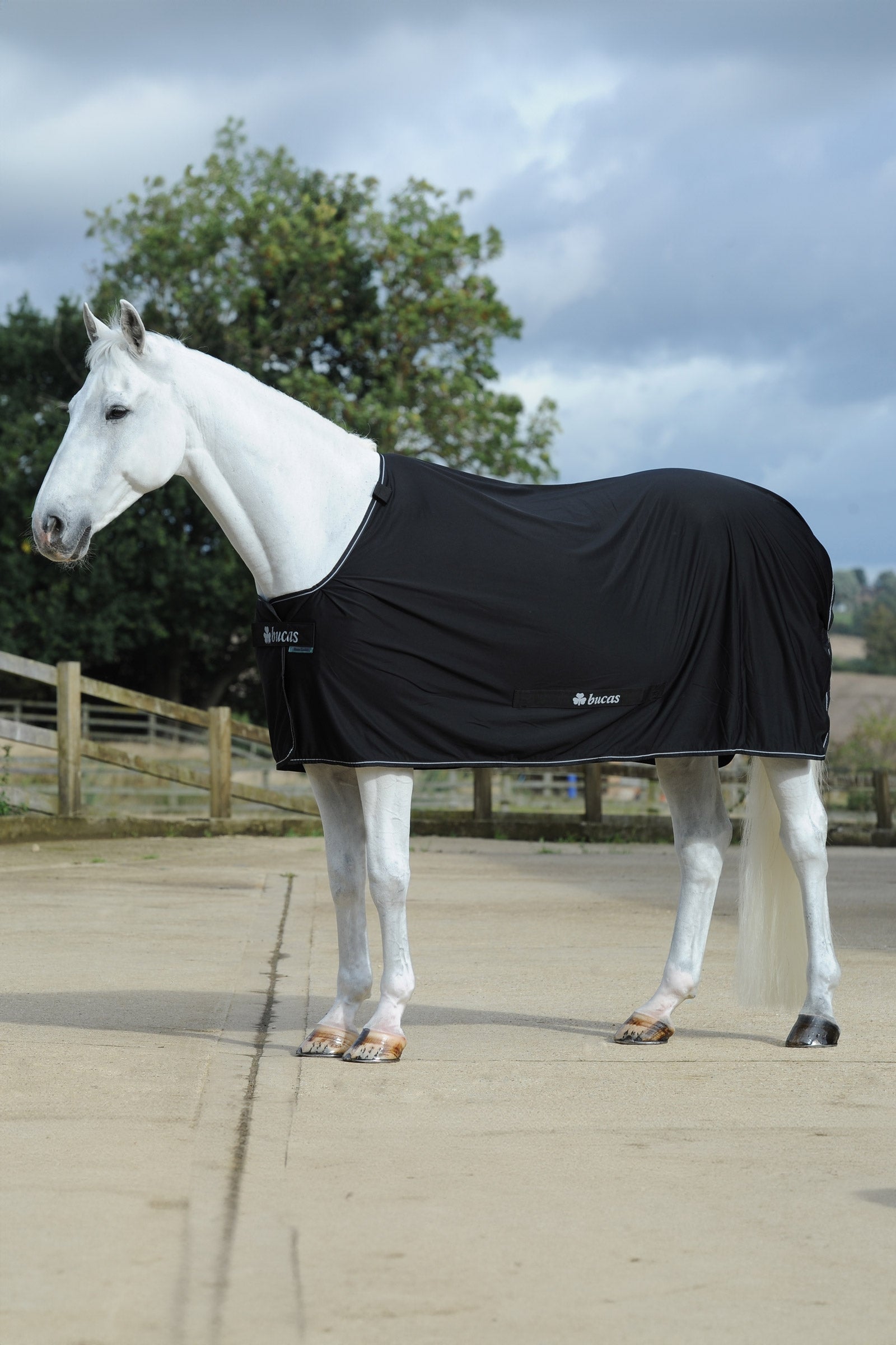 Bucas Power Cooler + Neck Set Horse Rugs