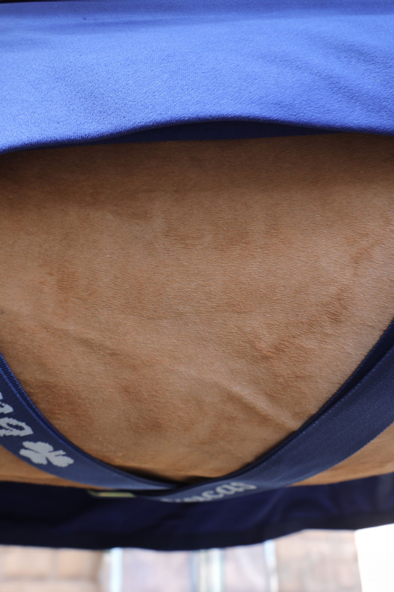 Bucas Power Cooler + Neck Set Horse Rugs