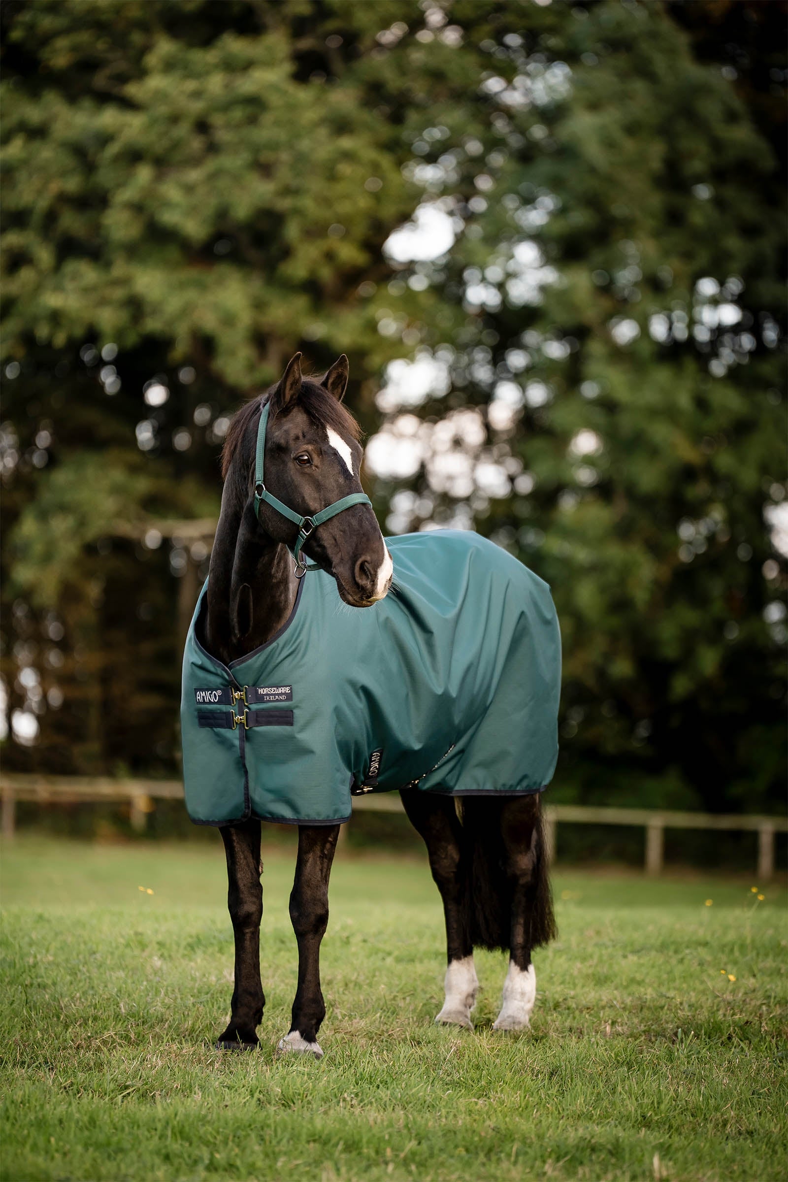 Horseware Amigo Ripstop Weidedecke 900D, 0g Pferdedecken