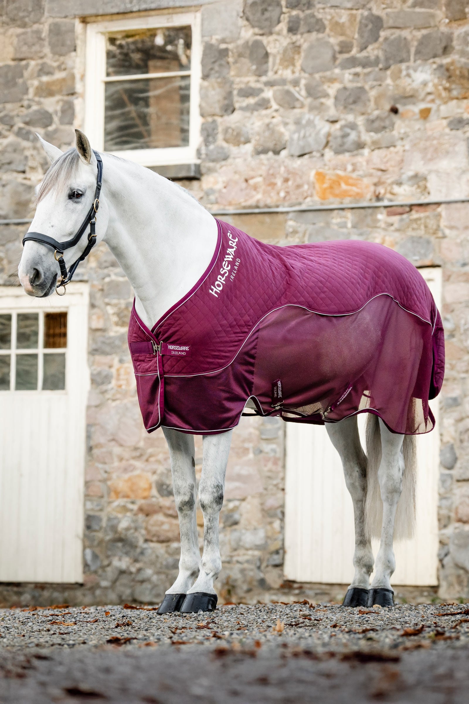 Horseware Signature Abschwitzdecke für den Transport Pferdedecken