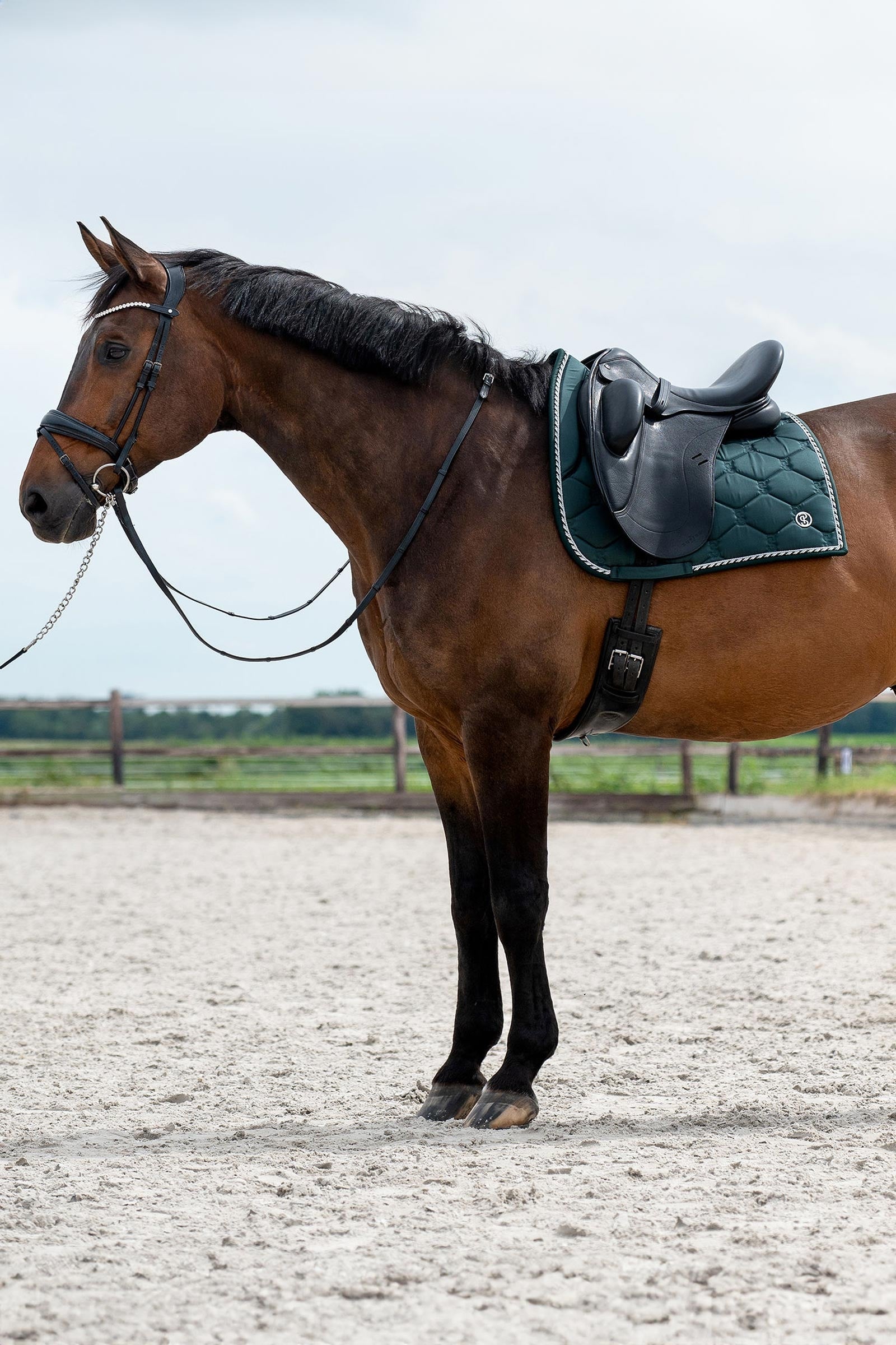 PS of Sweden Saddle Pad Dressage Signature Saddle Pads